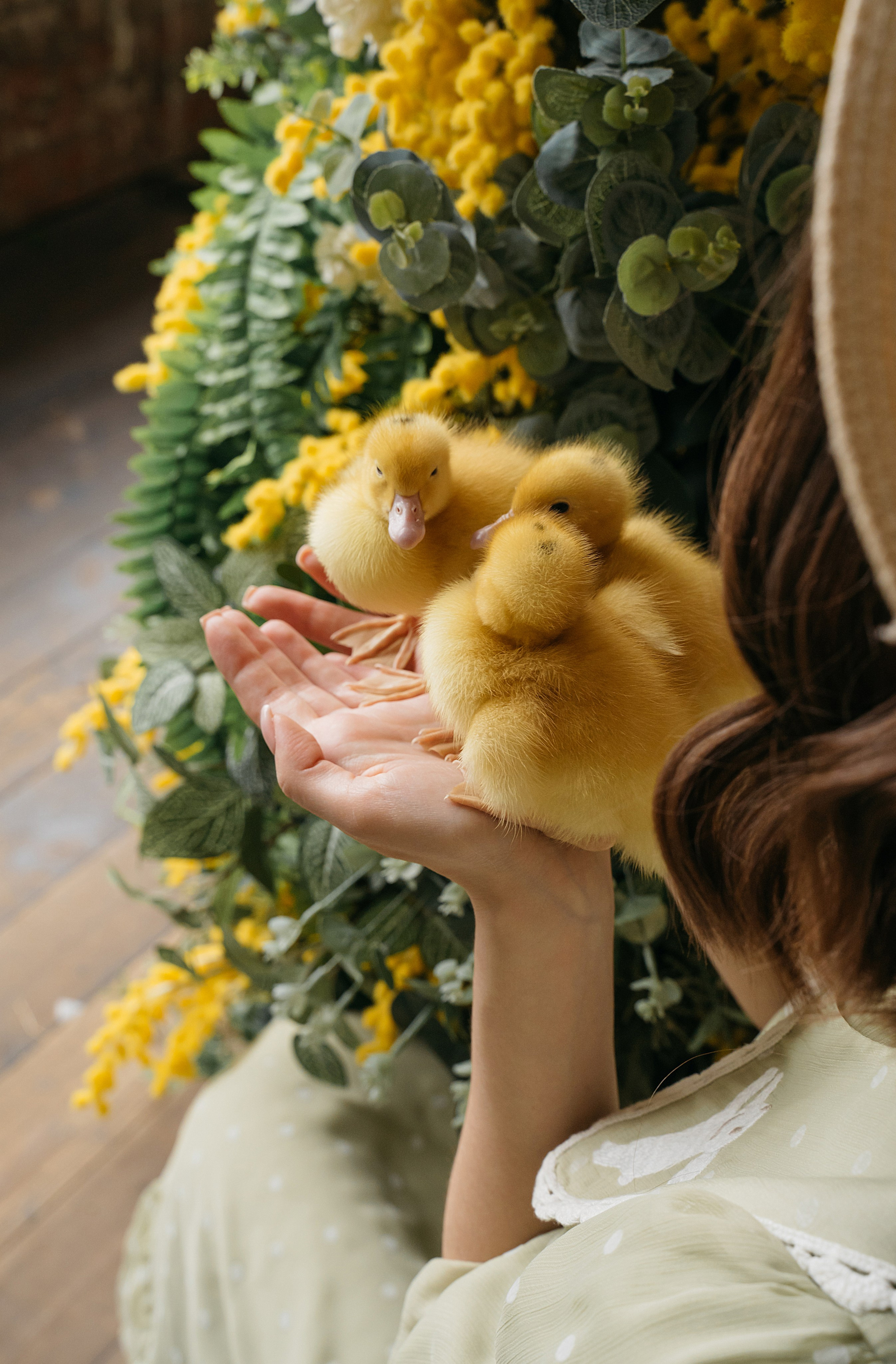 Фотодень «Утята». Свадебный фотограф