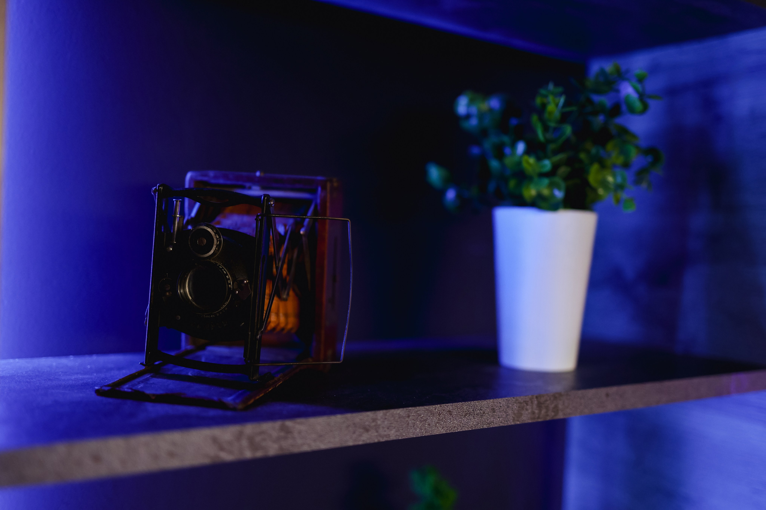 BLACK. Подкасты и прямые эфиры Сочи