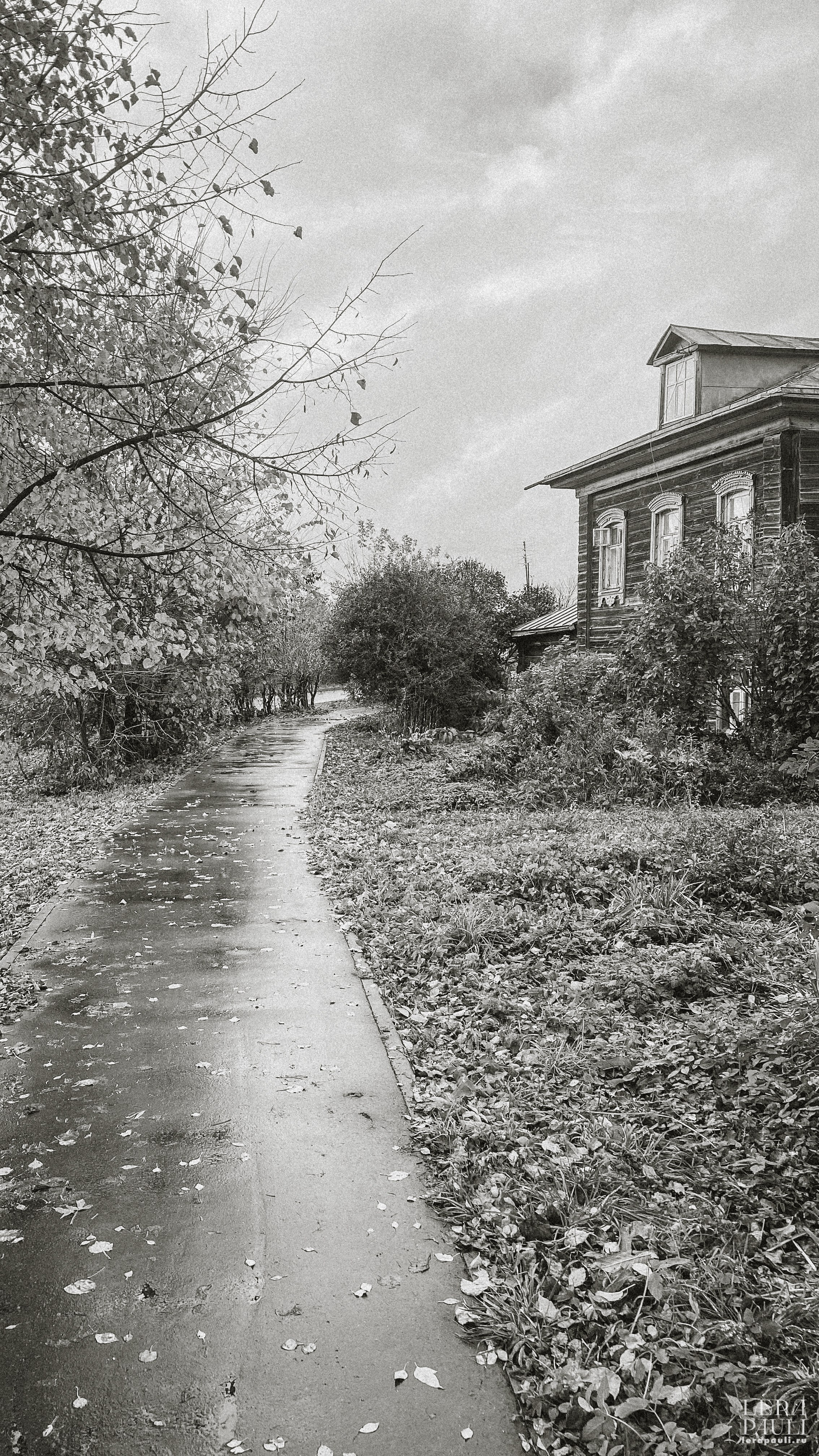 Суздаль. Главная