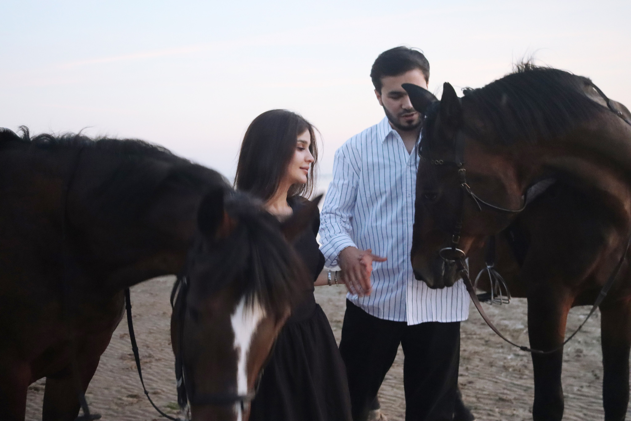 Love story с лошадьми