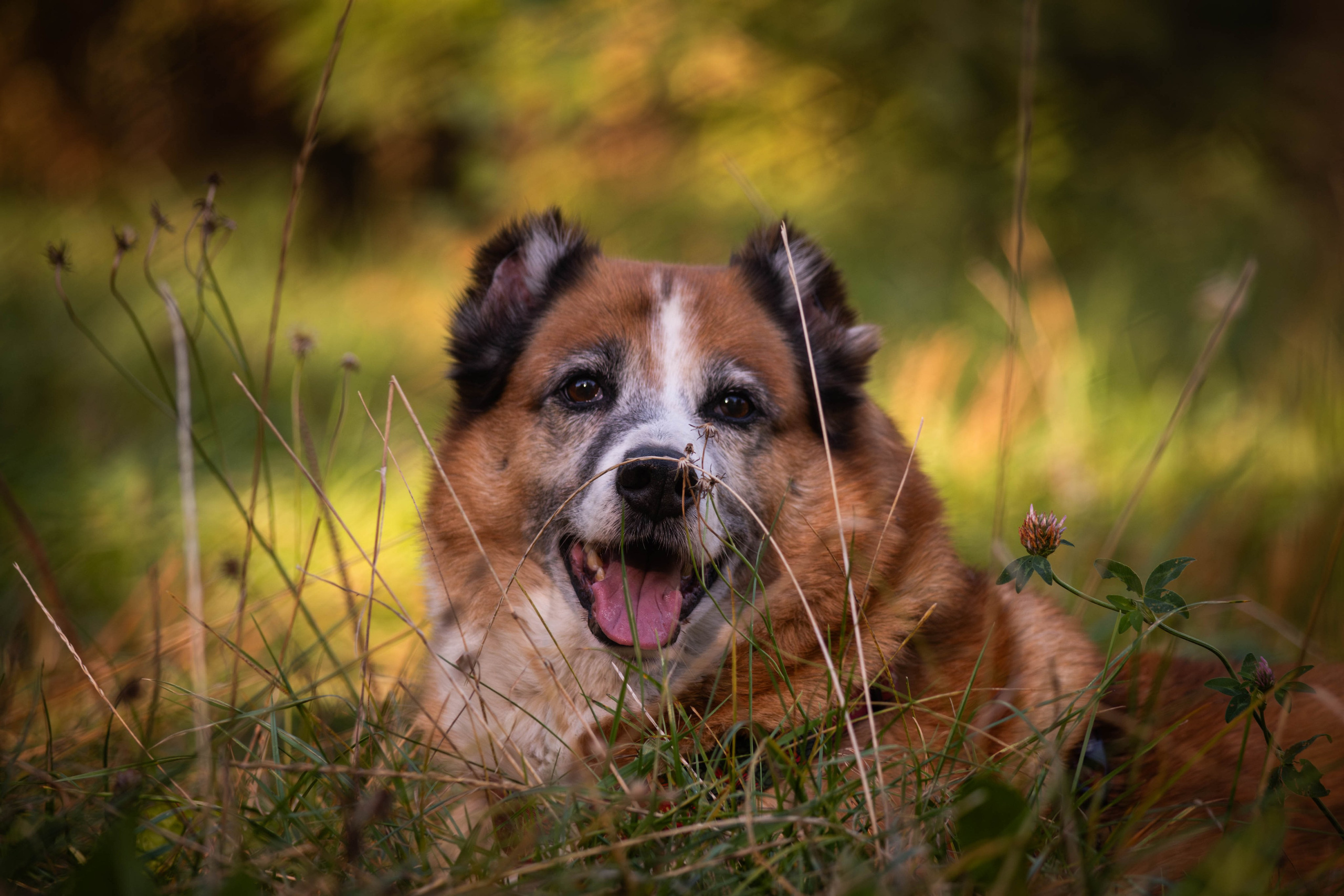 Ник и Полина. Фотограф Светлана Блинова, Москва и Московская область
