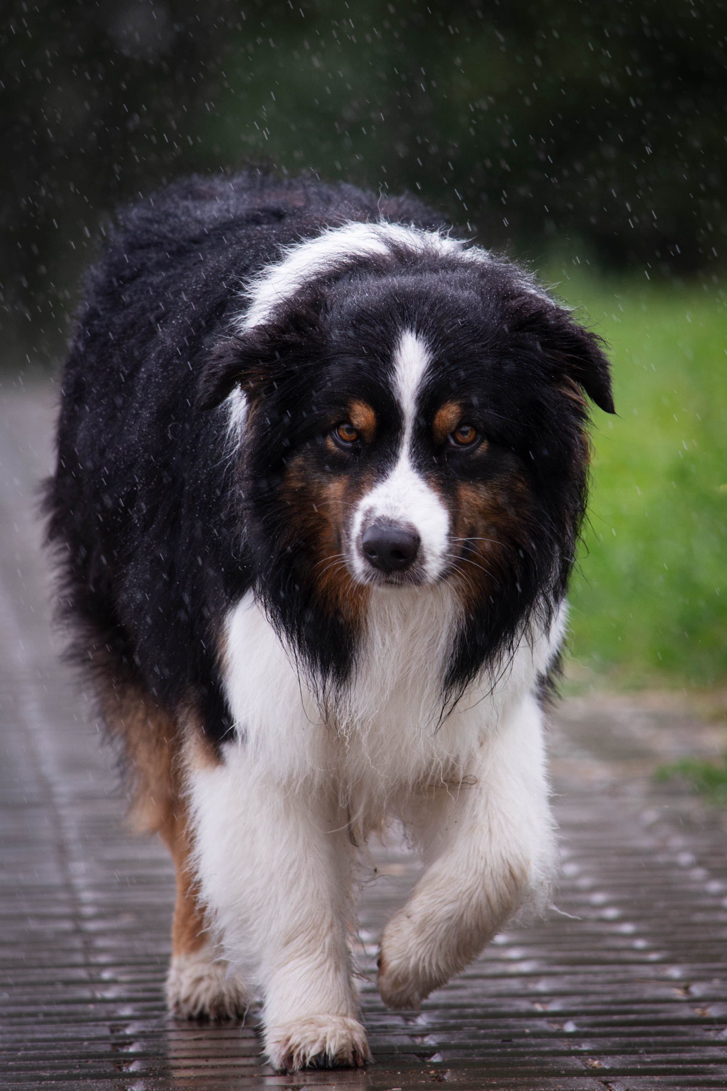 Прогулка в парке Митино. Фотограф Светлана Блинова, Москва и Московская область