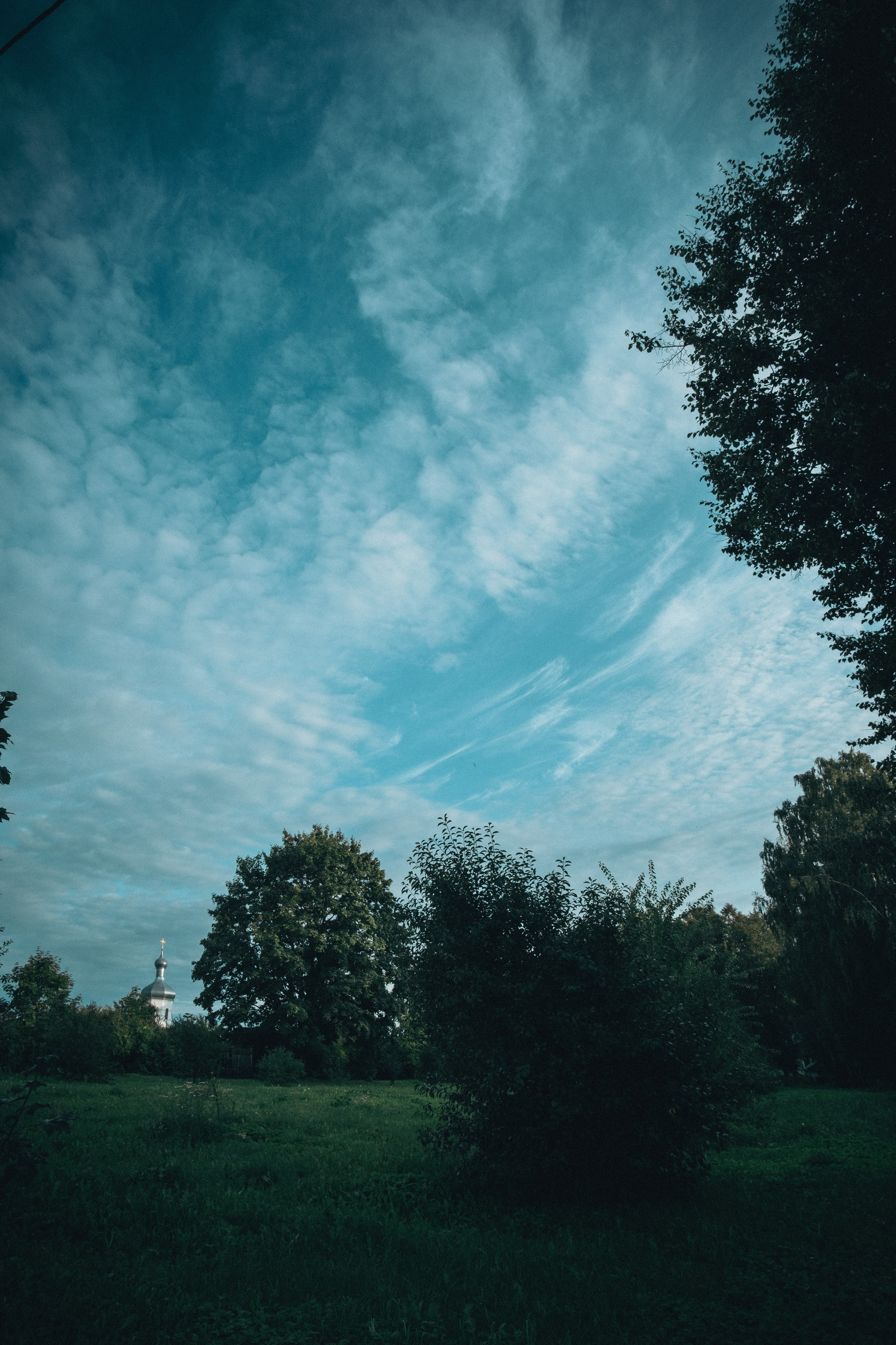 Other. Dmitry Ippolitov