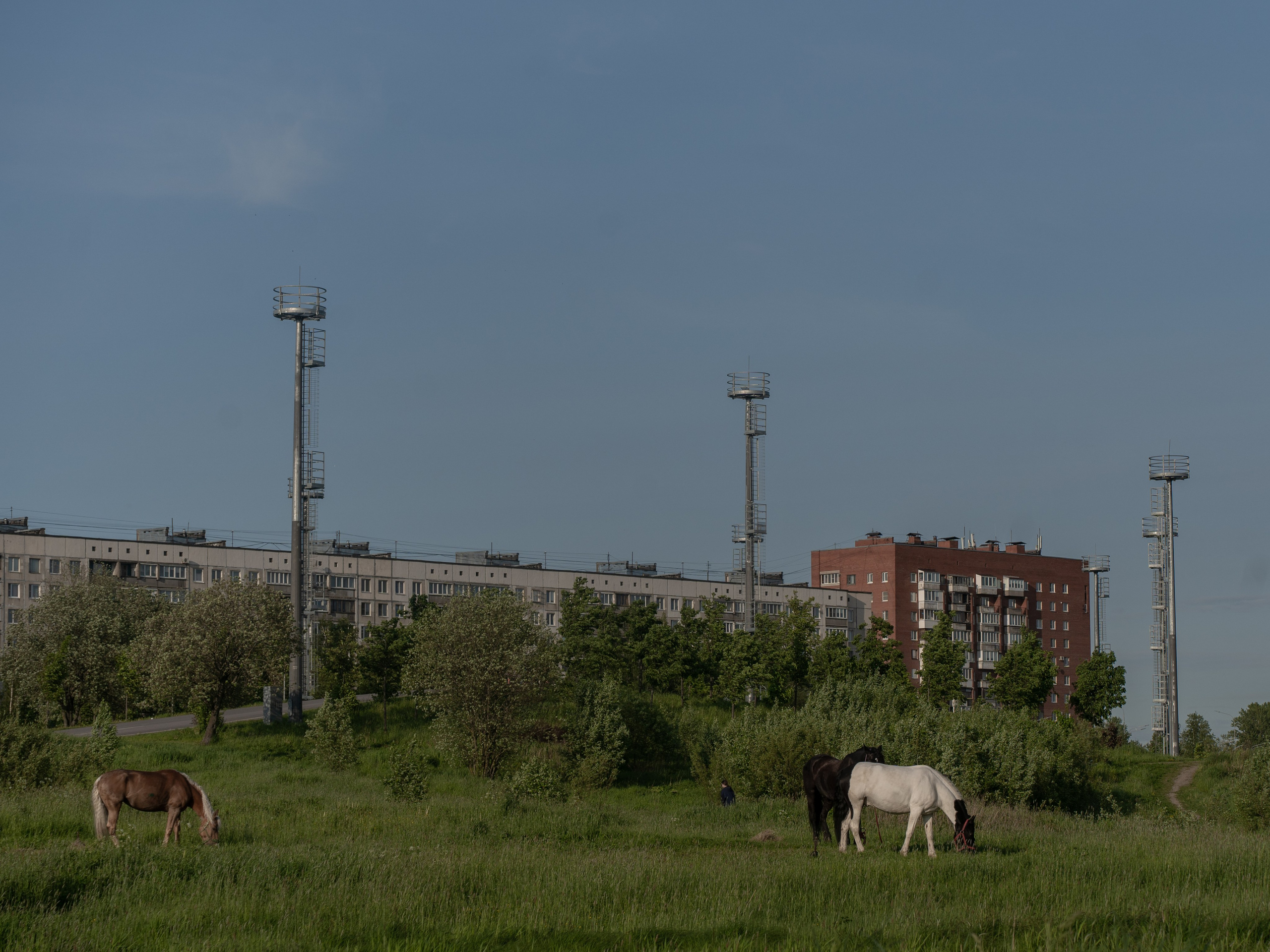 Фотографии. Ксения Доможилова