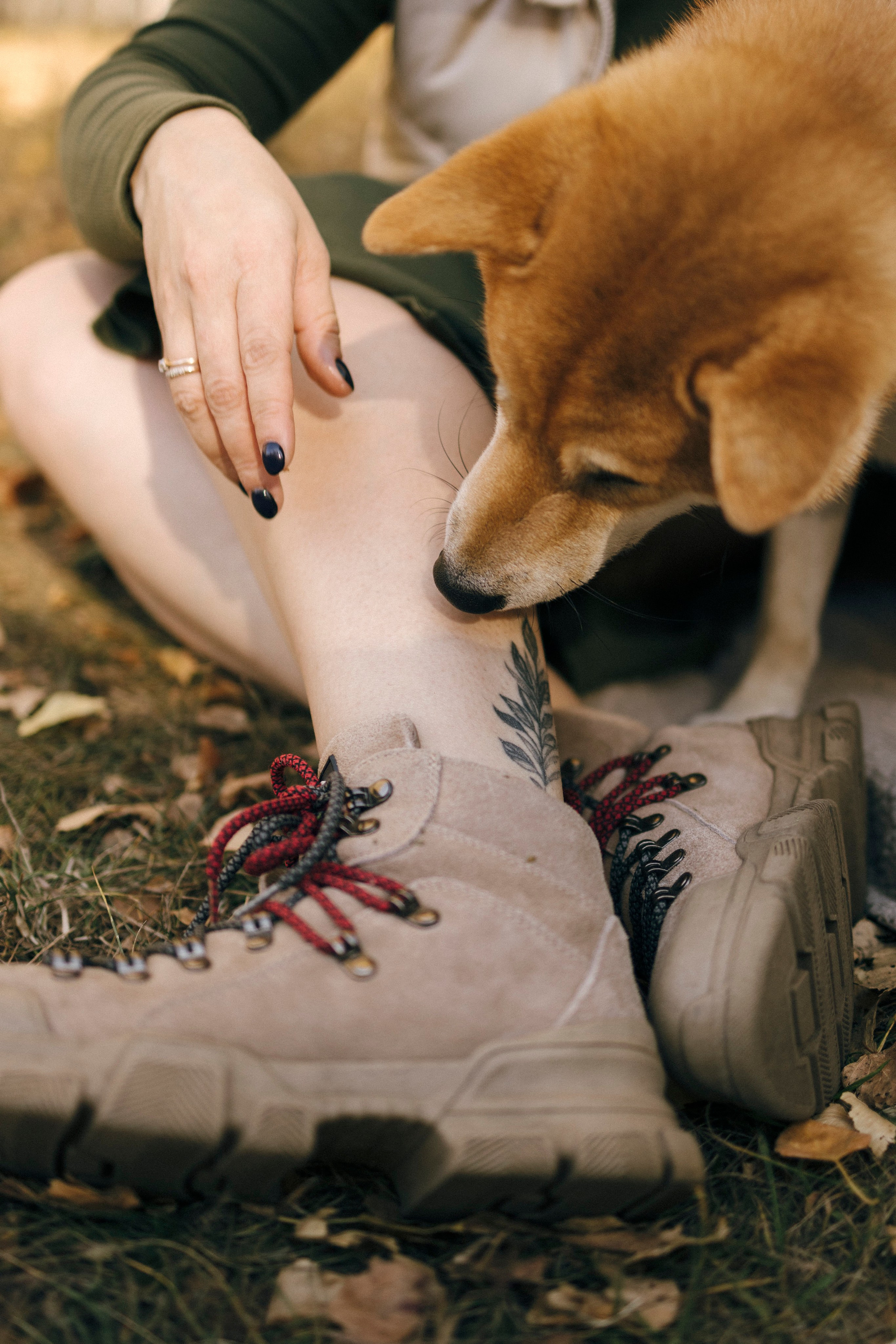 Алексей и Анастасия. Свадебный и портретный фотограф Тюмень
