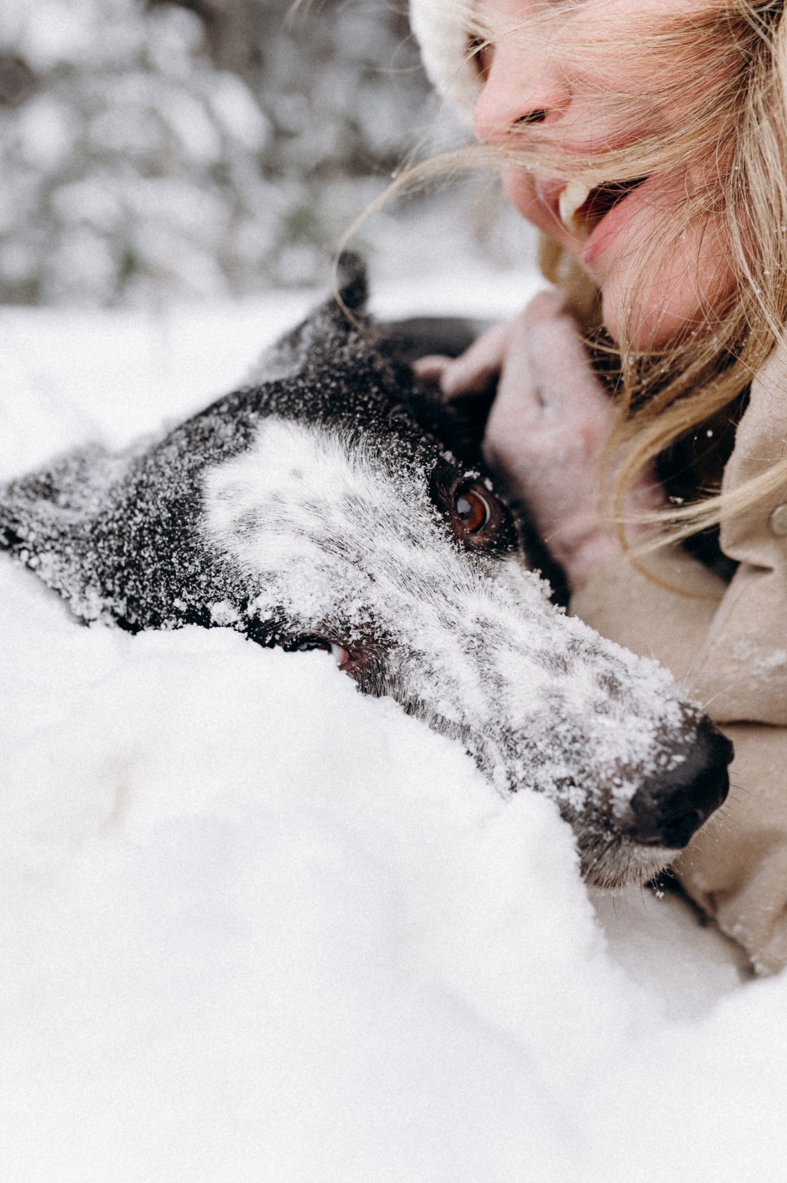 Аня и Милан. Фотограф анималист в Москве Ольга Агушева