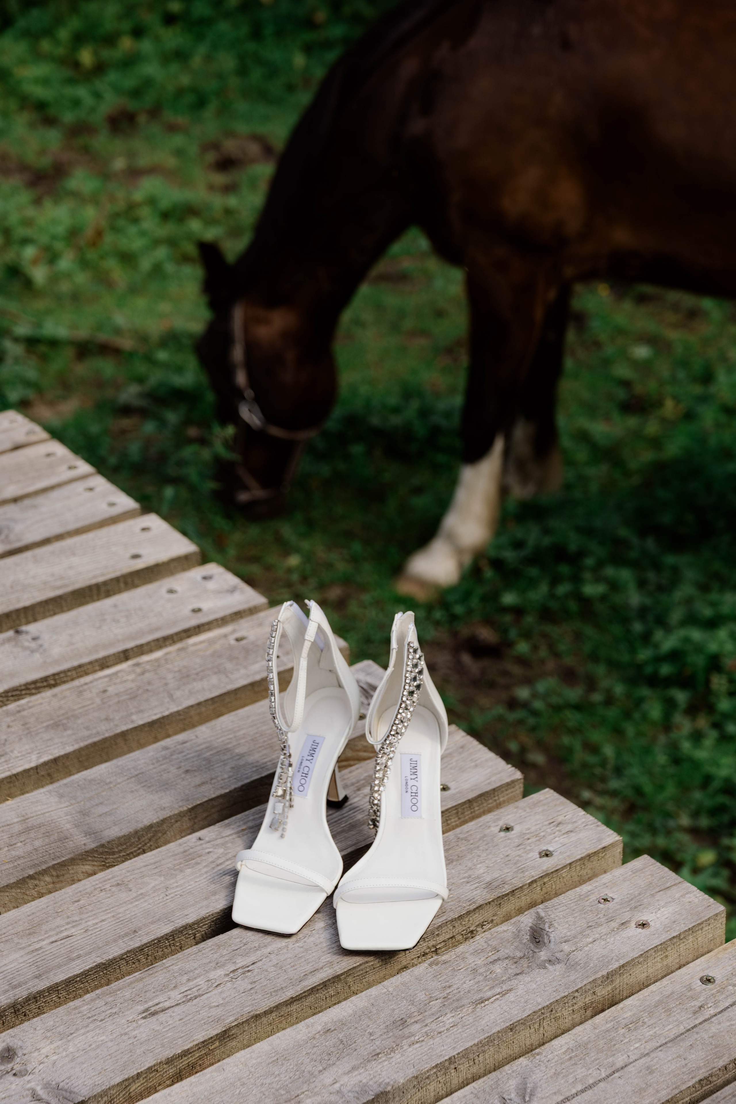 Максим и Мила. Фотограф Юсова Мария