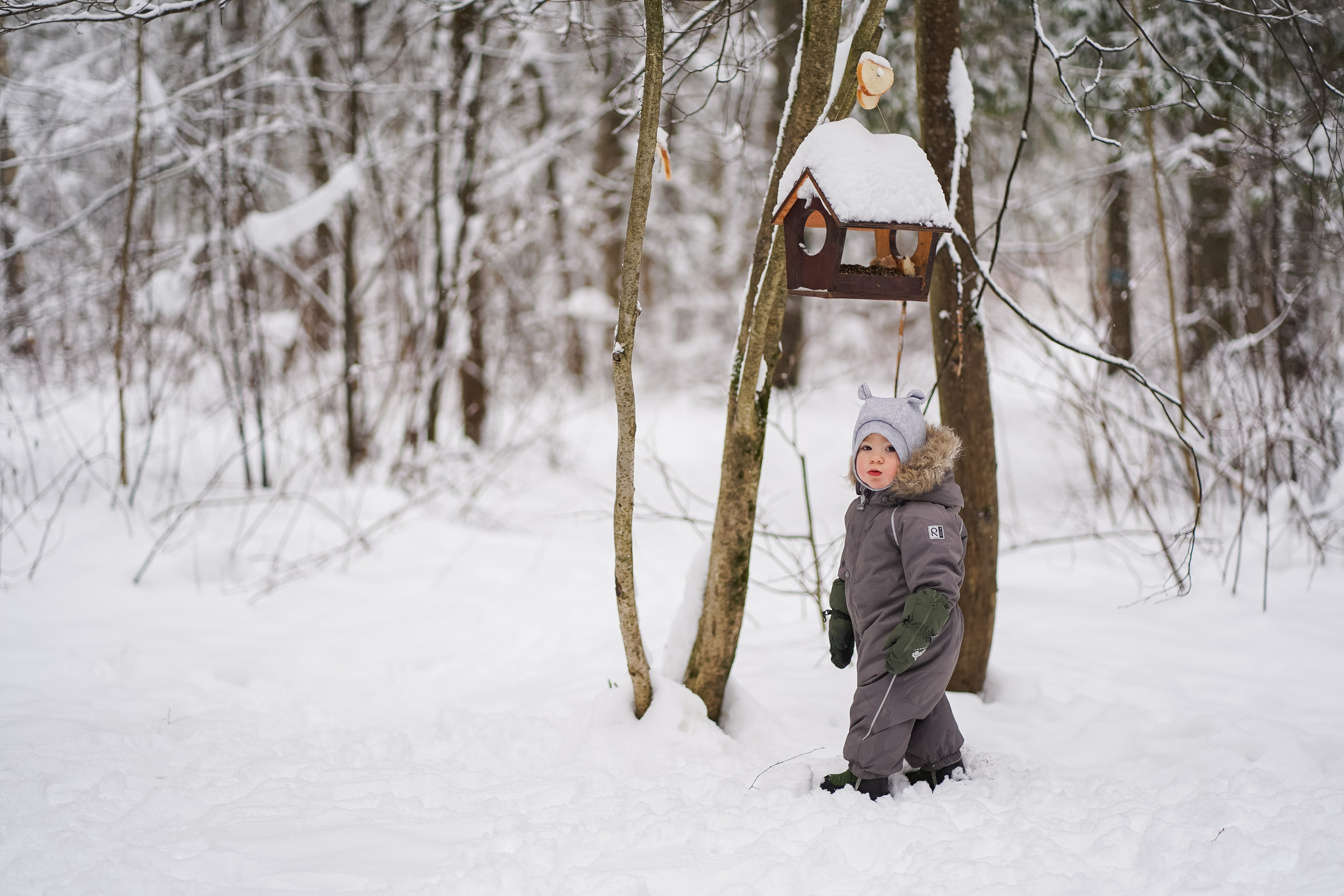 Лев с родителями. Семейный и детский фотограф в Москве (Тинао) Галкина Алевтина