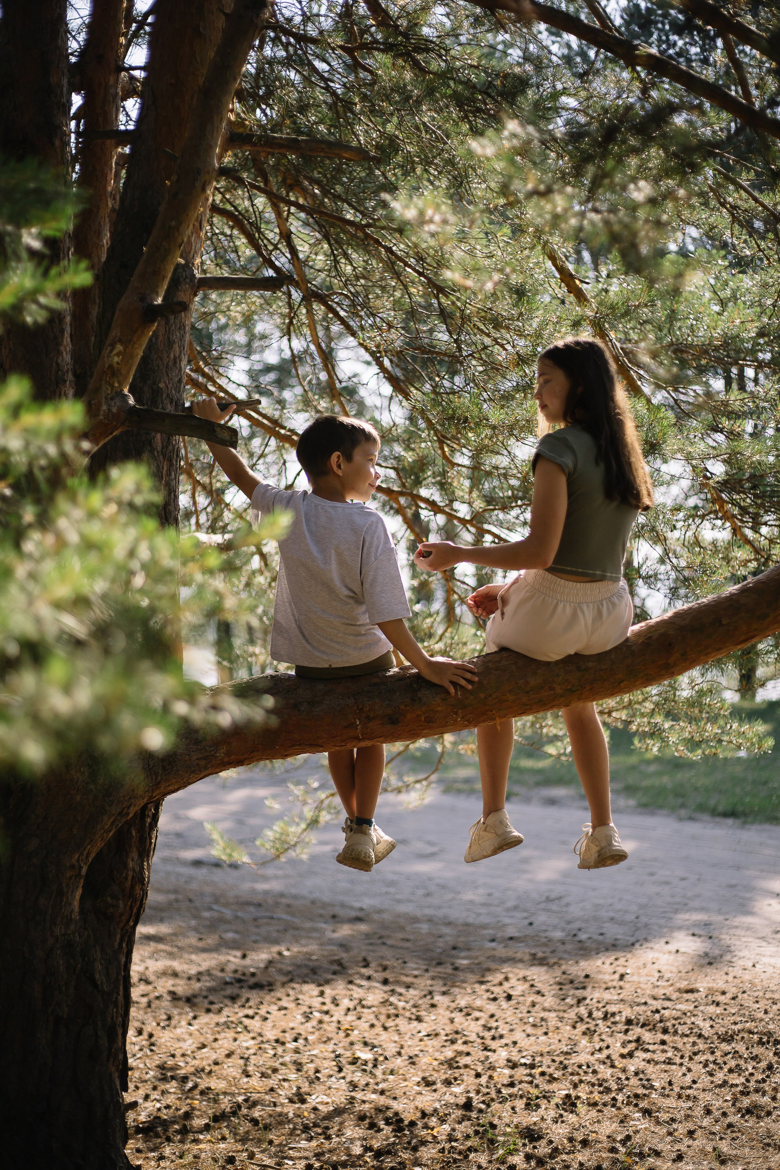 Семейное утро в сосновом лесу. Семейный фотограф в Томске Максимова Екатерина