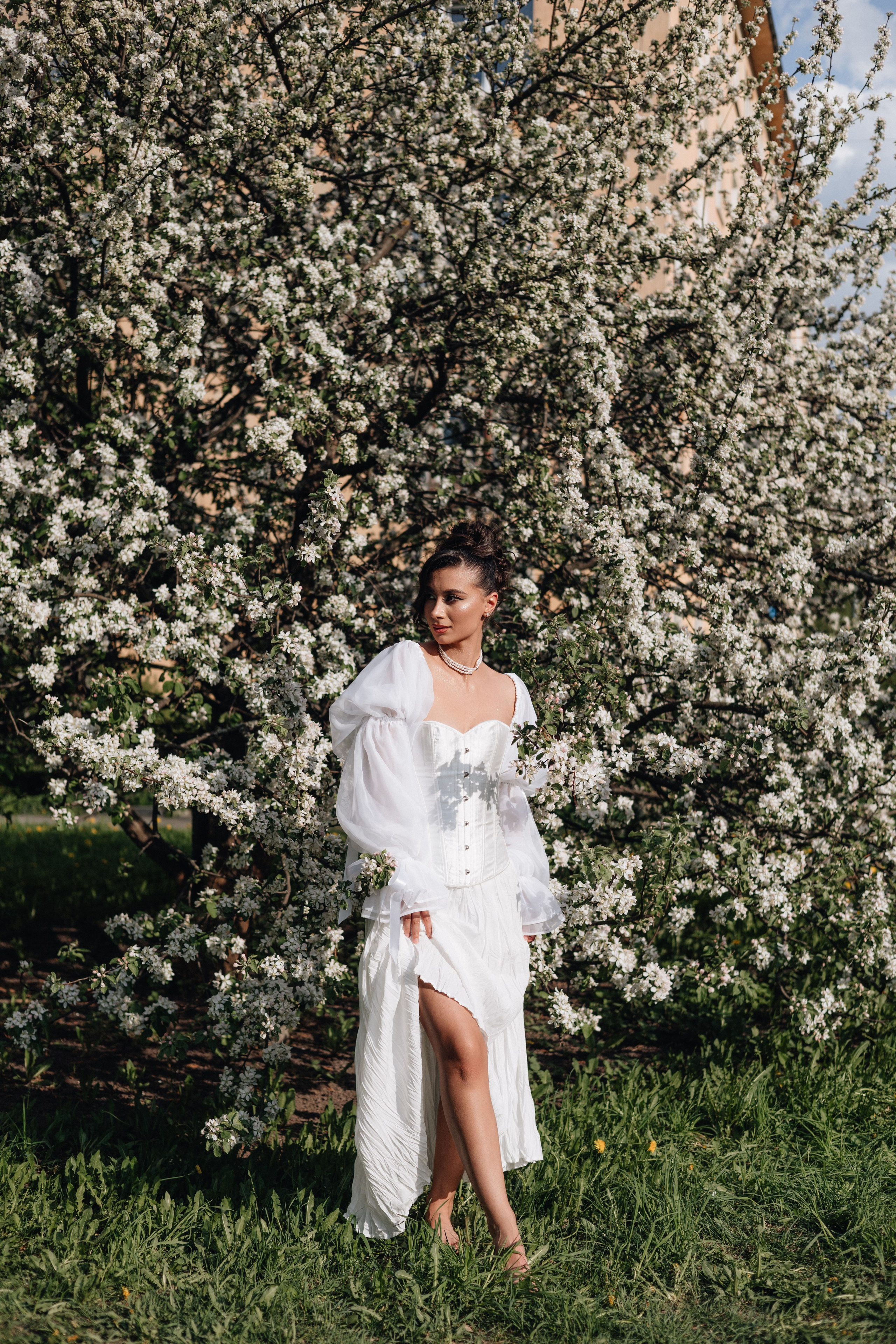 Майя. Главная