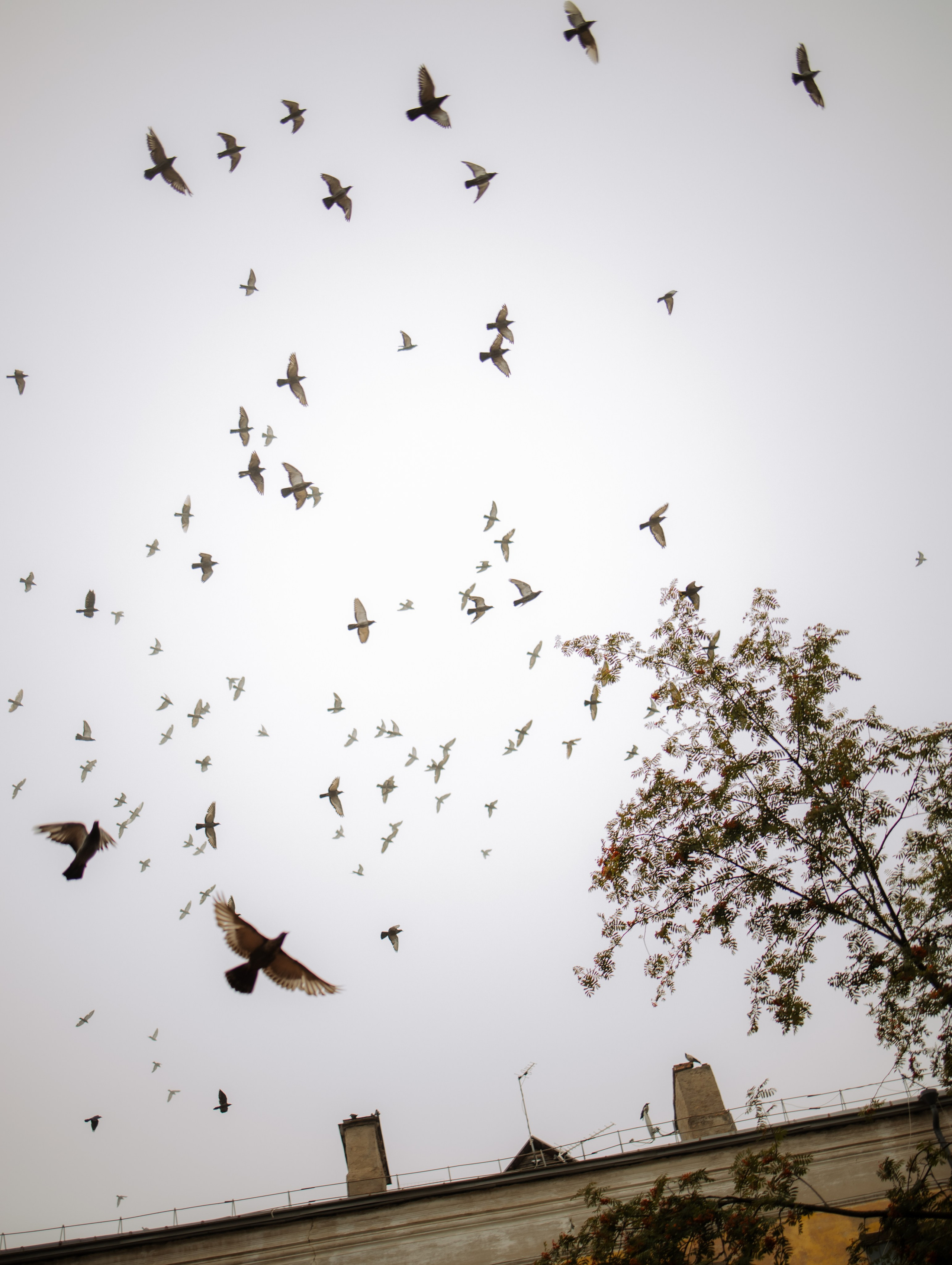 Городская лайф съемка для девушки. Фотограф Углич и Ярославль Ольга Тятюшкина