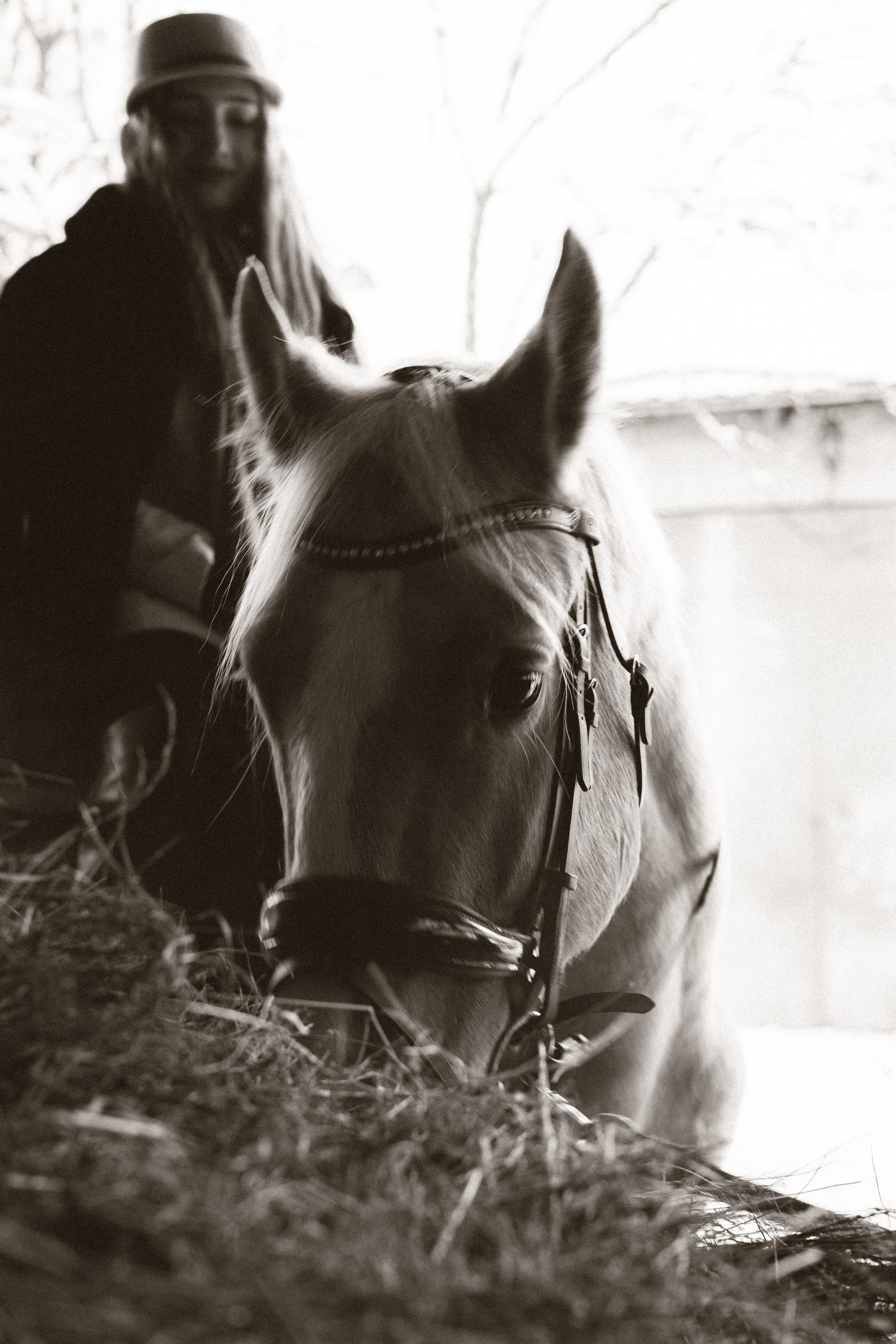 Как в сказке!