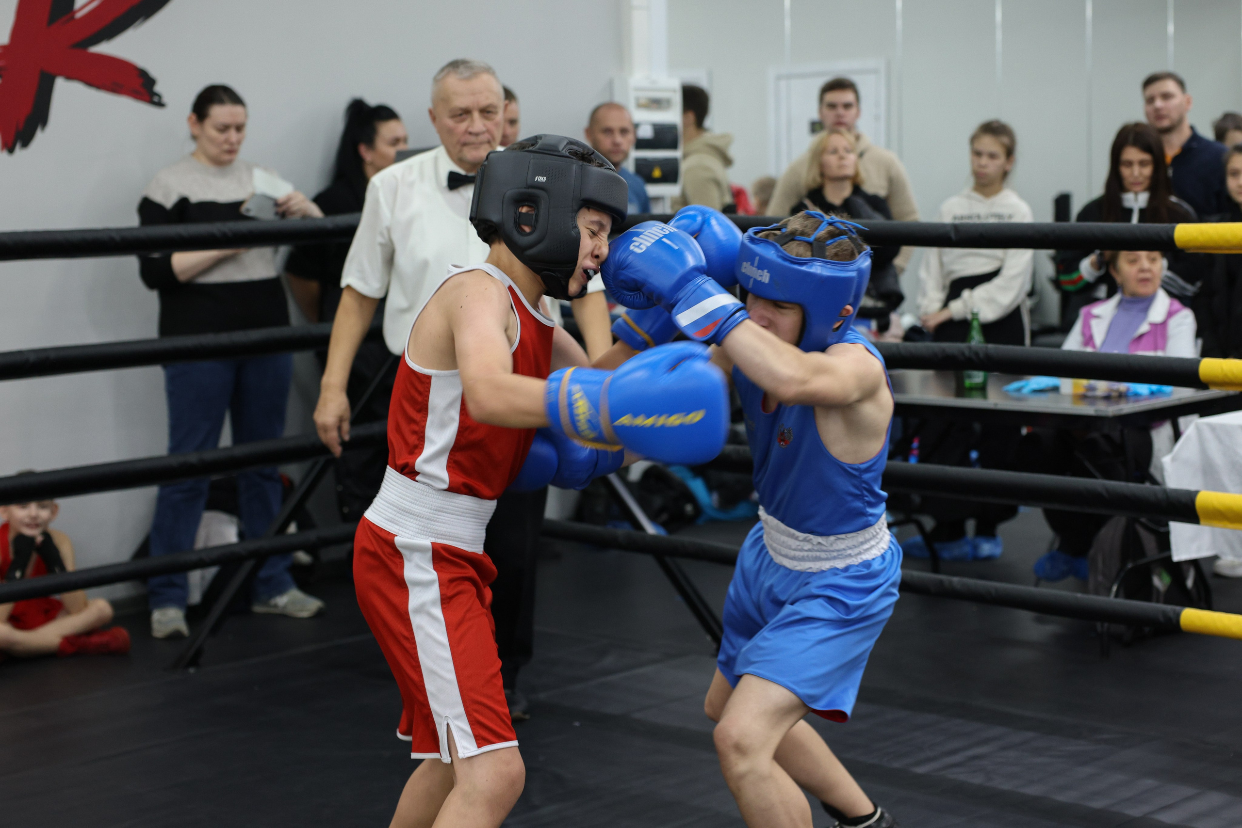 Открытый ринг «кубок ООО «ТЭК НеваСпецТяж». Фотограф Александр Заломаев