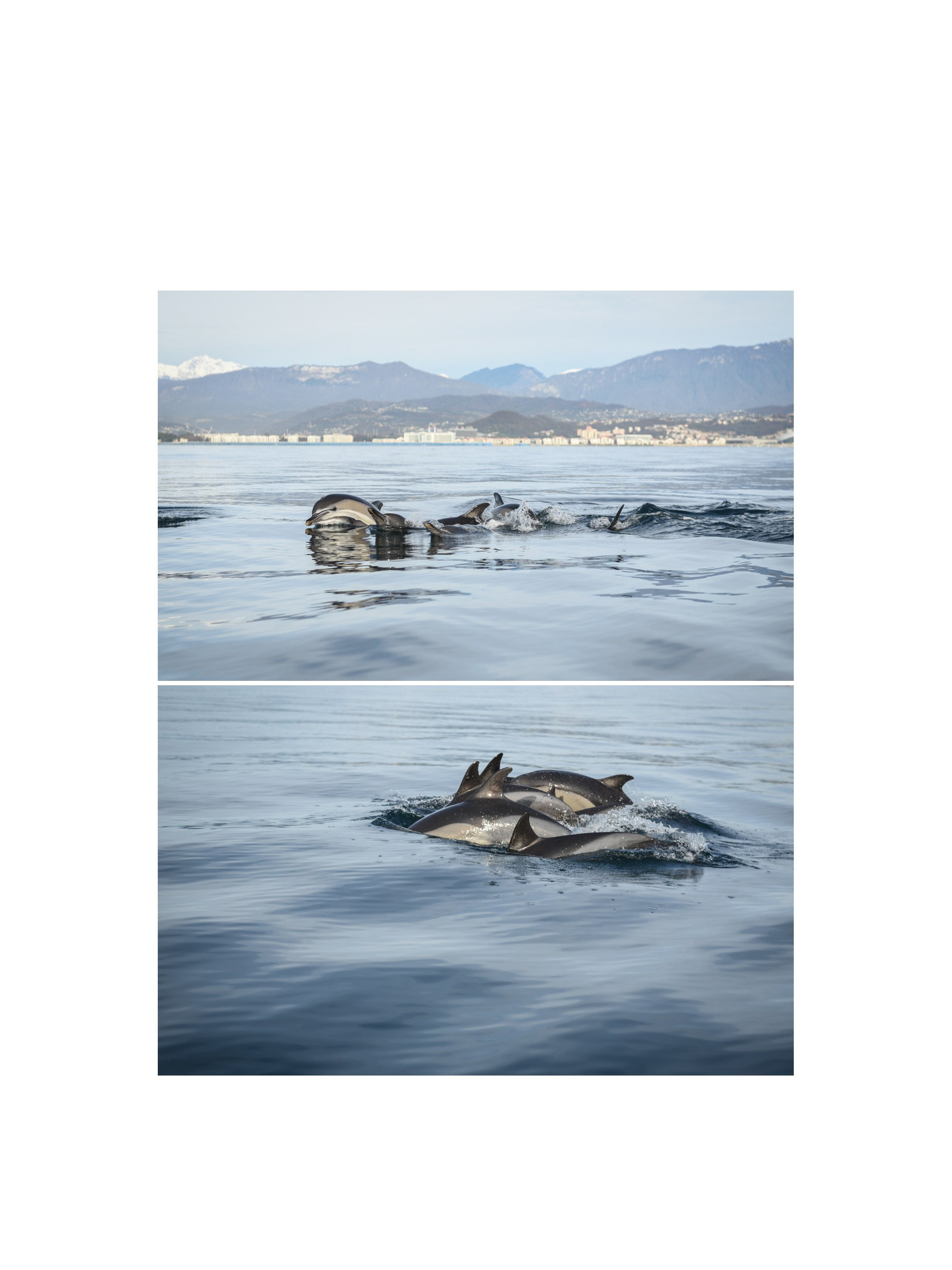 Delfa. Anastasia Serdyuk, travel photographer, travel photo, portraits, stories, fineart prints