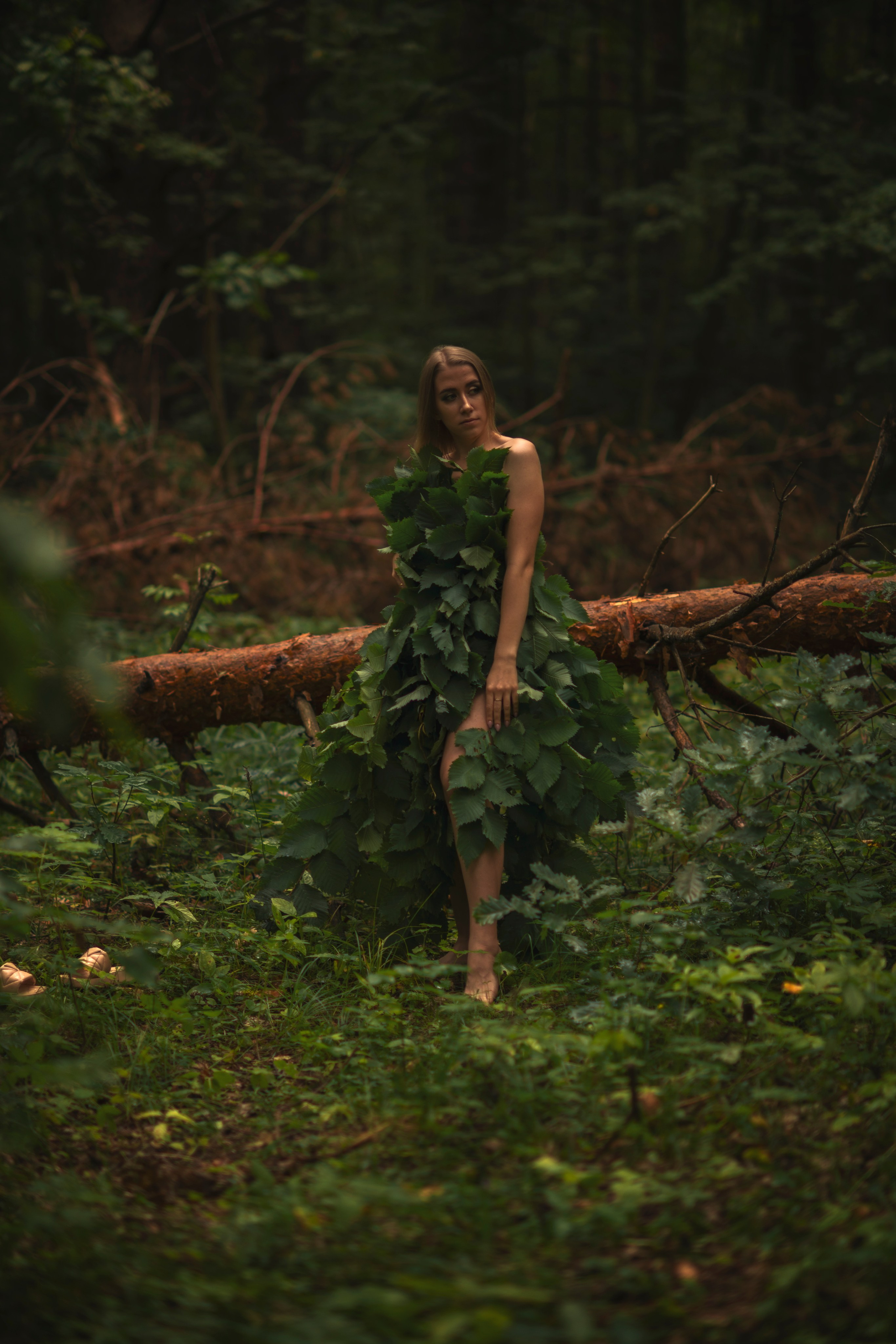 Лесная сказка