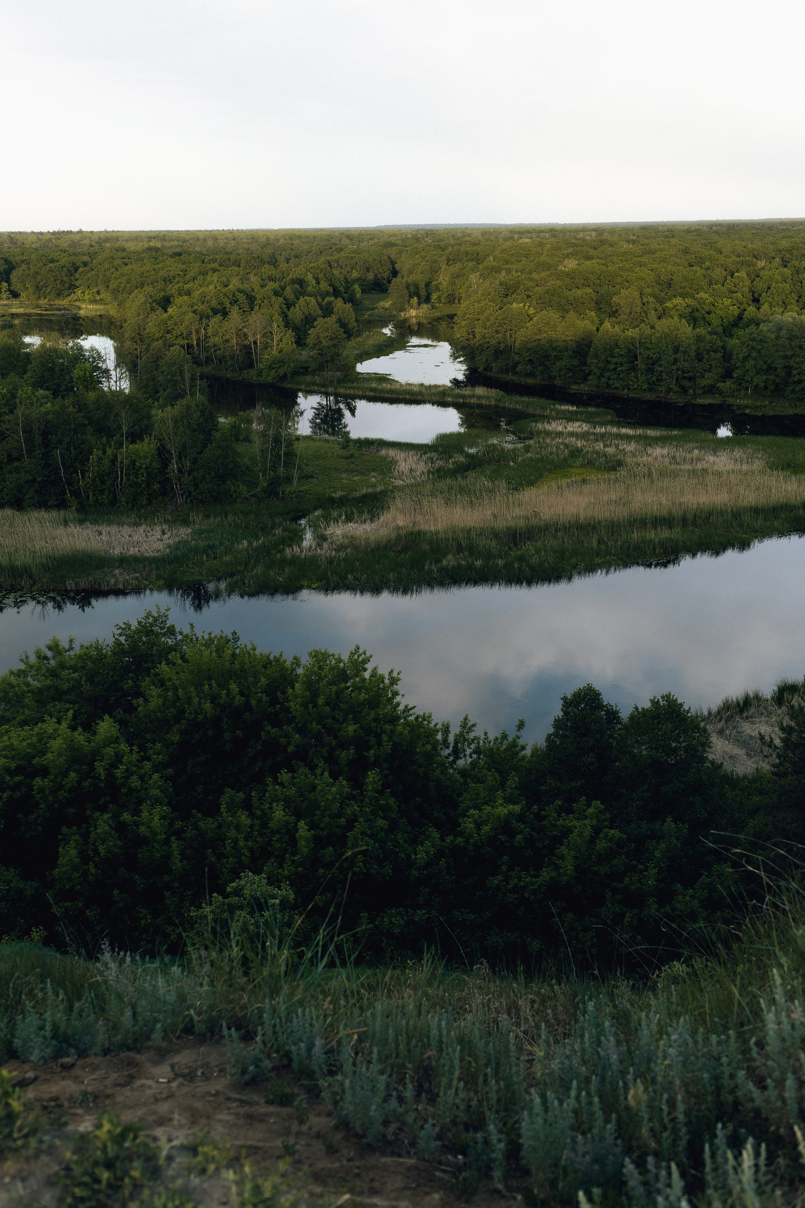 I & K. Фотограф Ольга Сапронова. Свадебный фотограф Ольга Сапронова