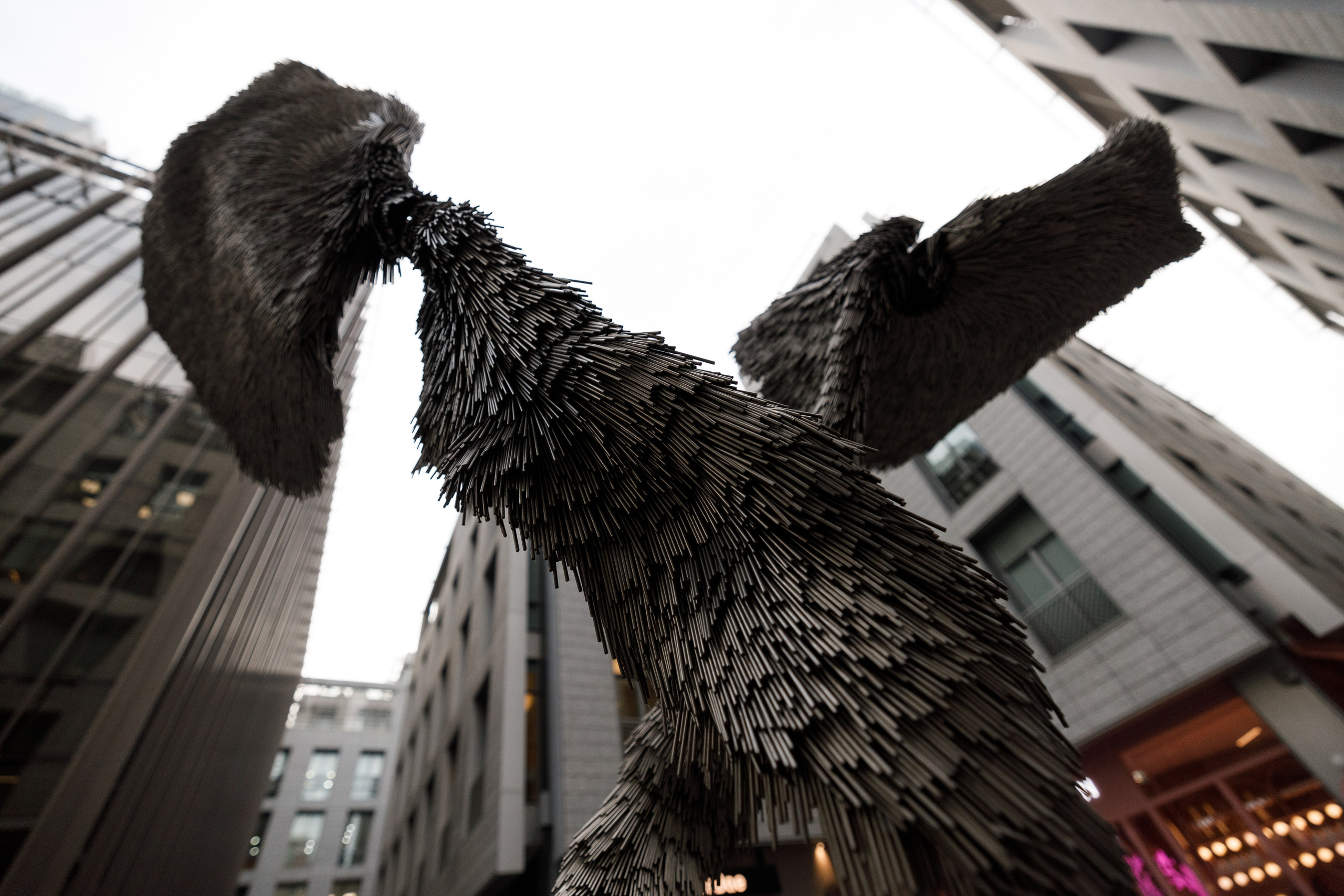 Дубай 2023. Руслан Плахтеев