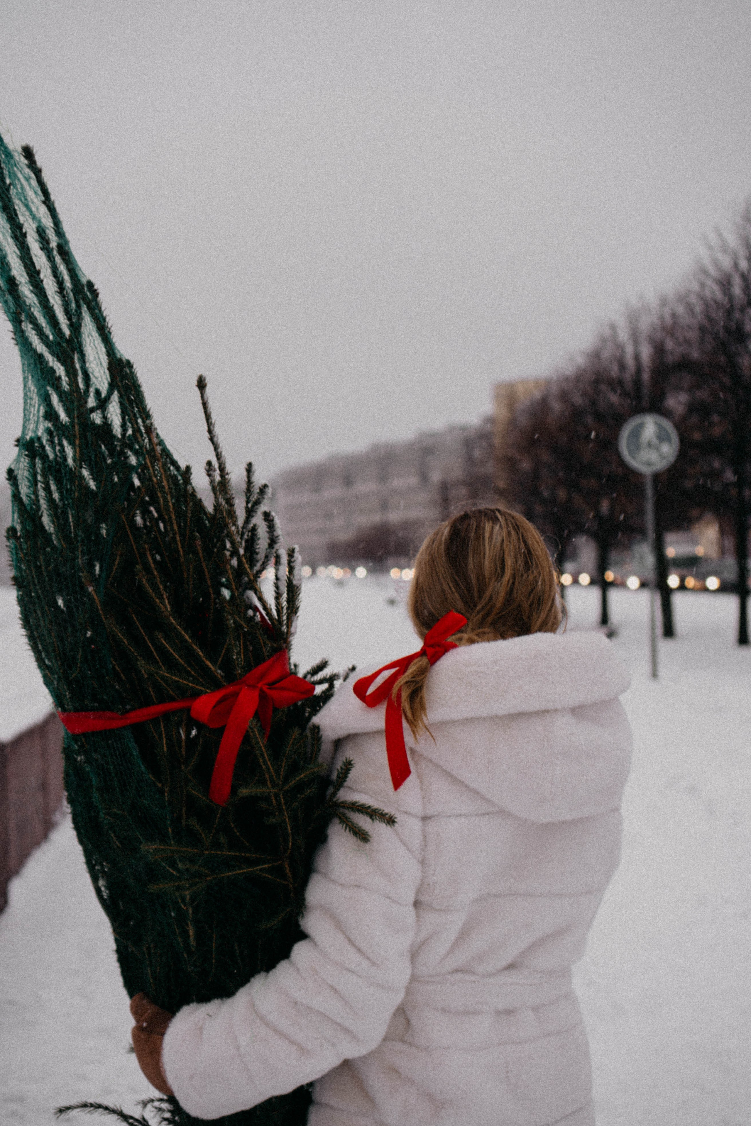 Новогодняя. Профессиональный фотограф, Санкт-Петербург — Виктория Богомолова