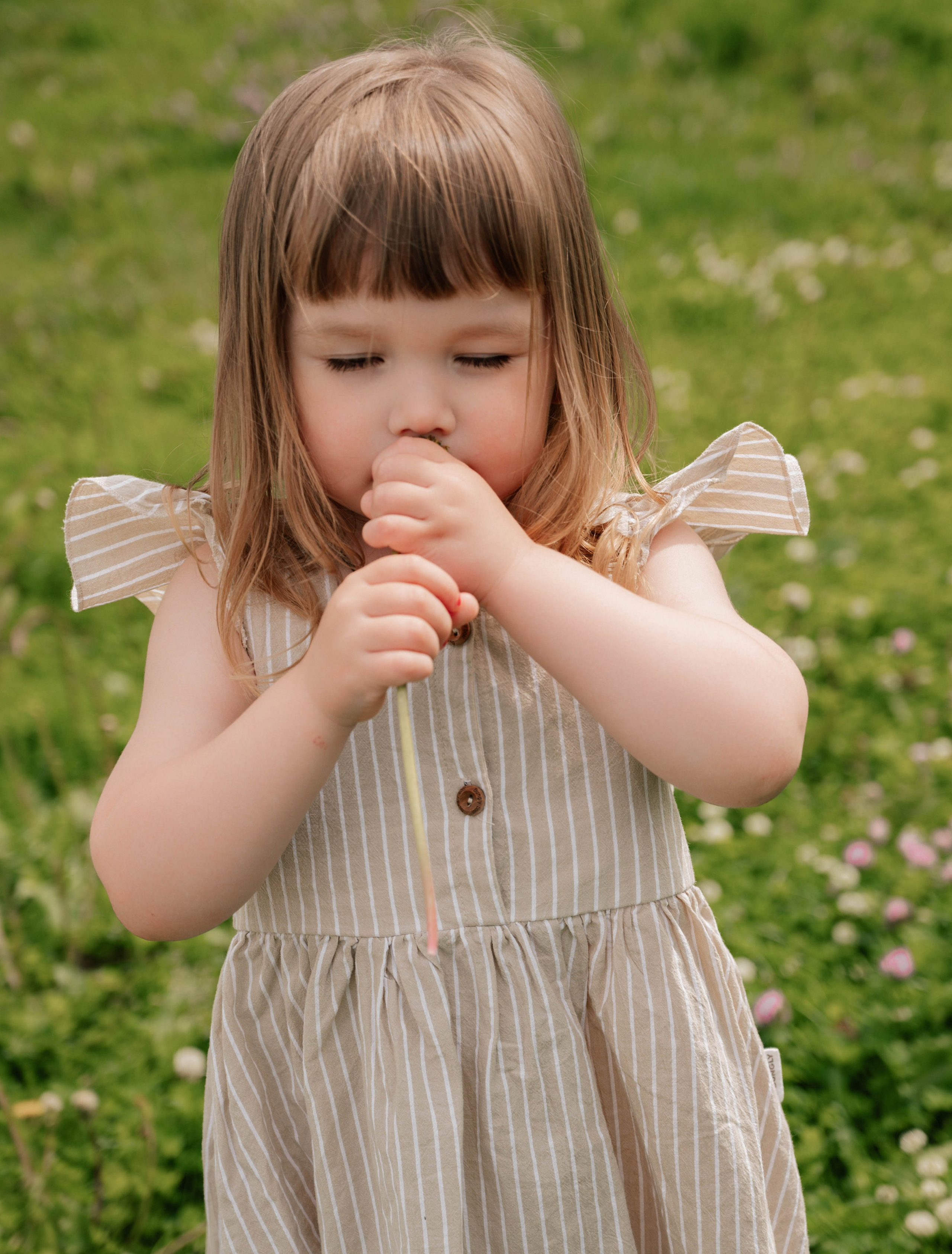 Портфолио. Главная