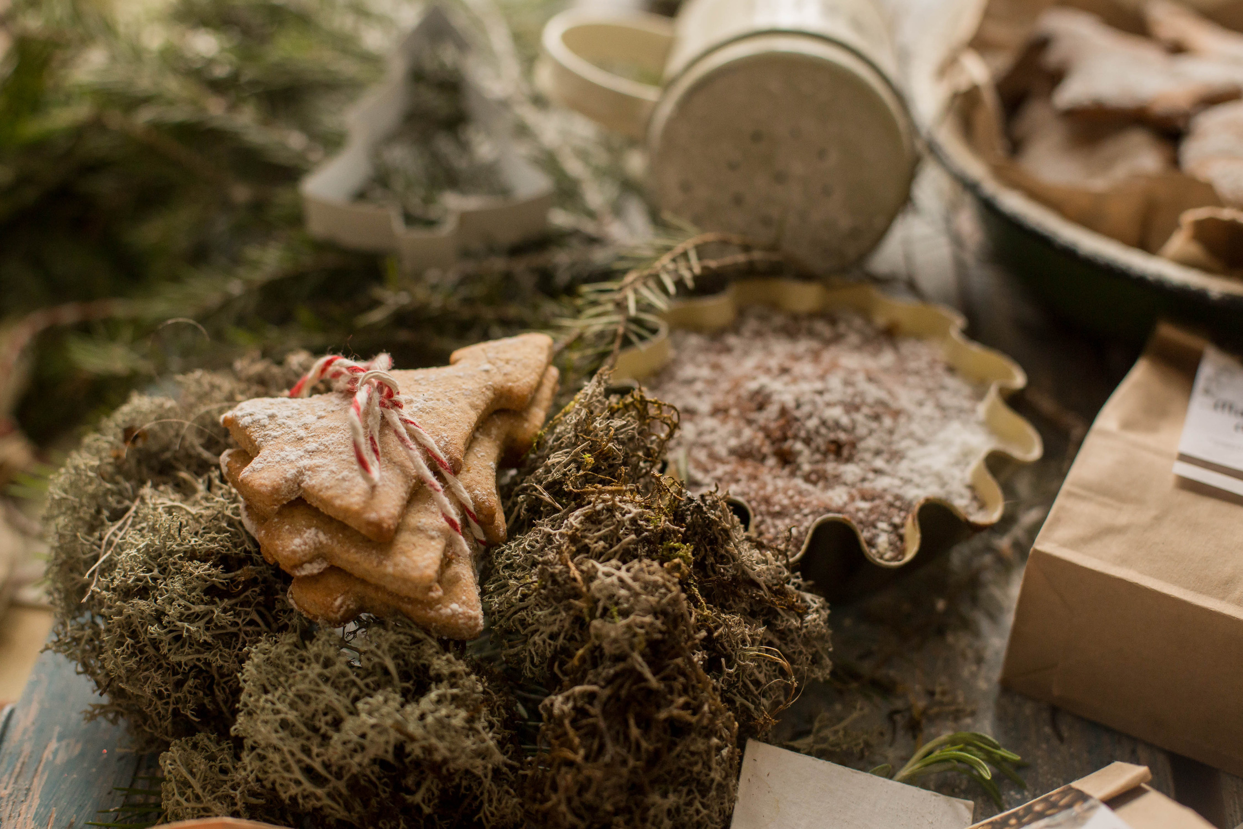 Love and coffee blog. Photographer in Montenegro — professional photoshoots