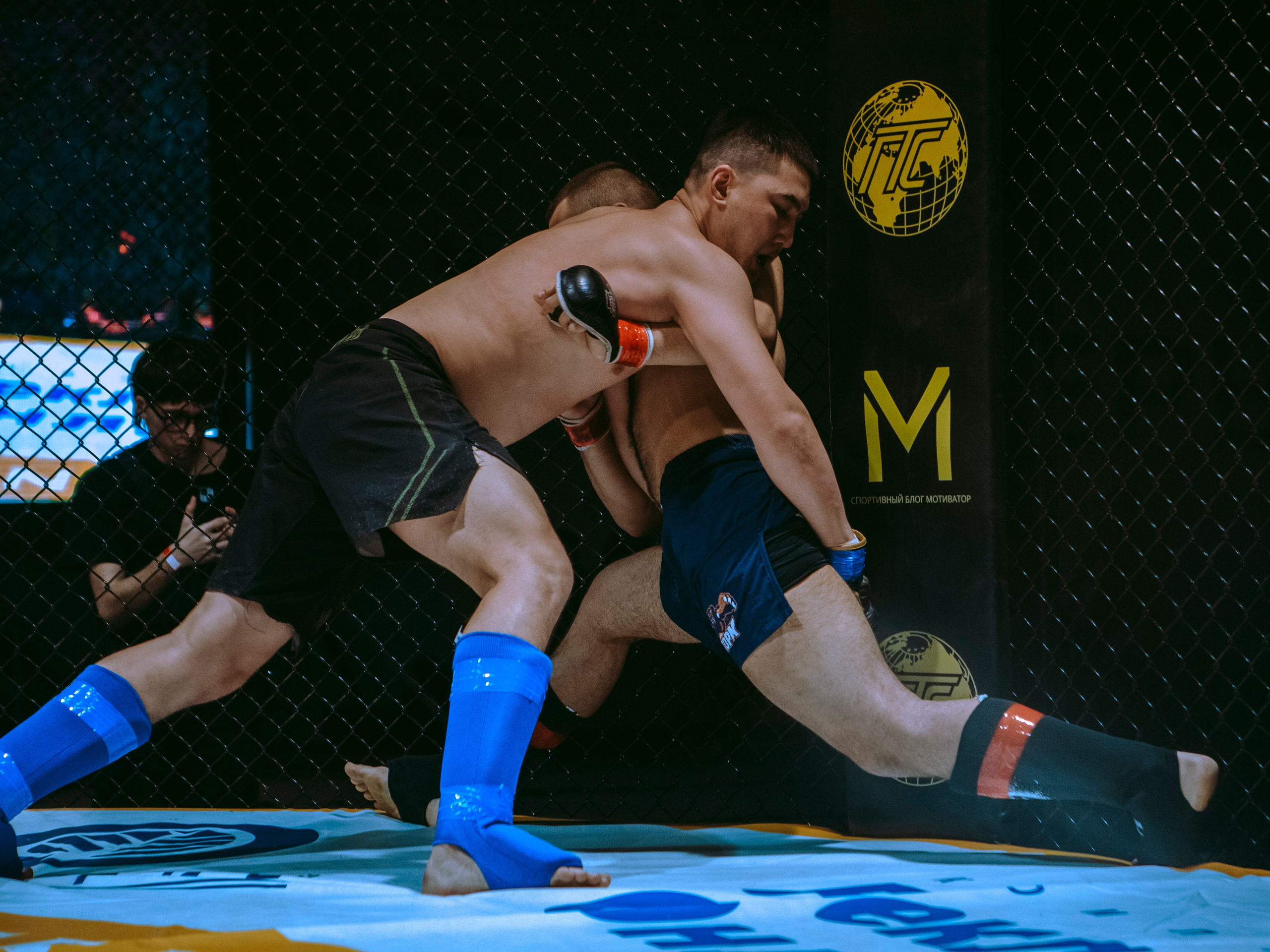 SFL 17 | Siberian Fighting League. Портретный фотограф в Москве Дарья Цезария