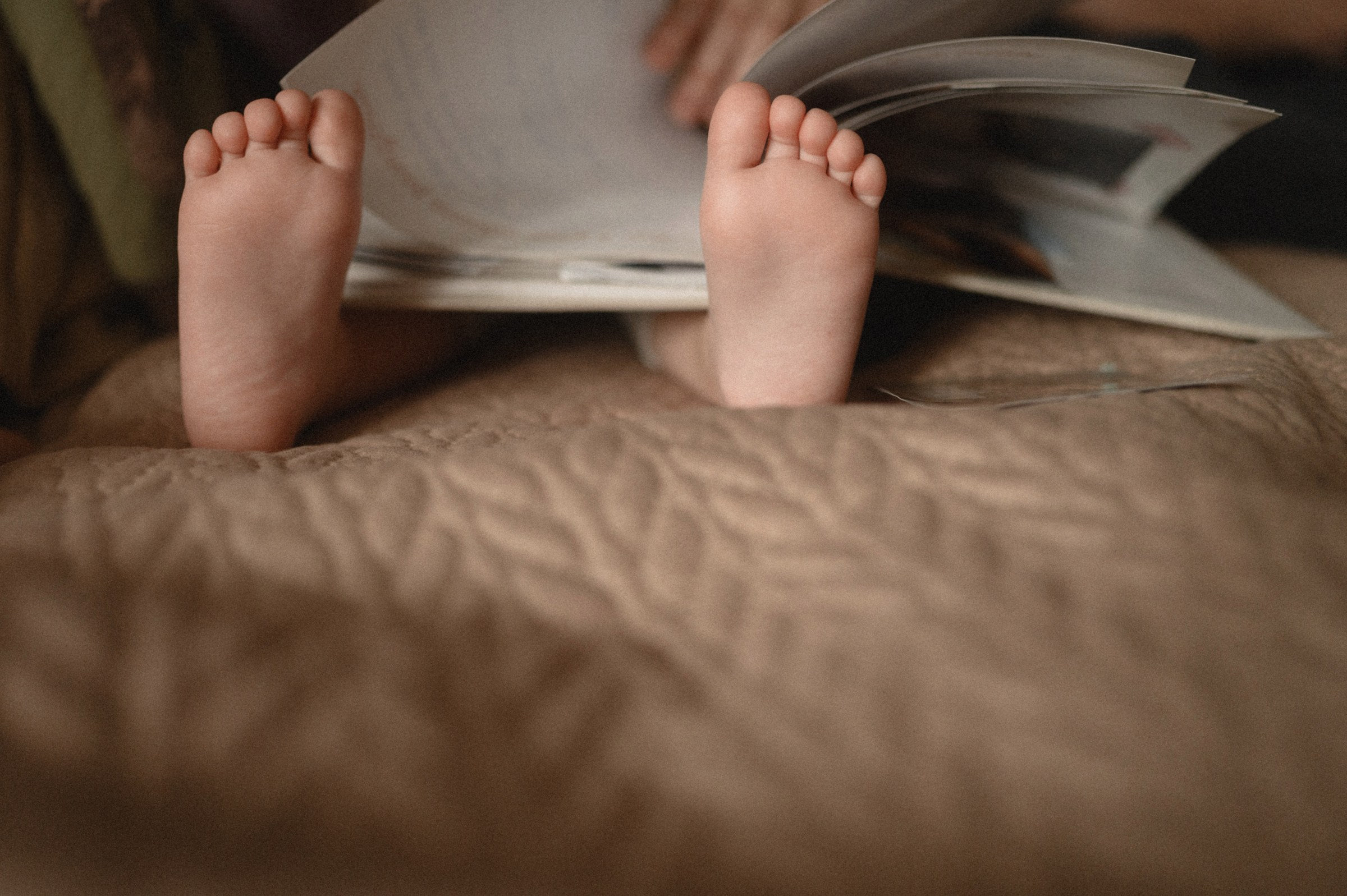 Сергей, Регина и Олива. Свадебный и семейный фотограф в Ростове-на-Дону