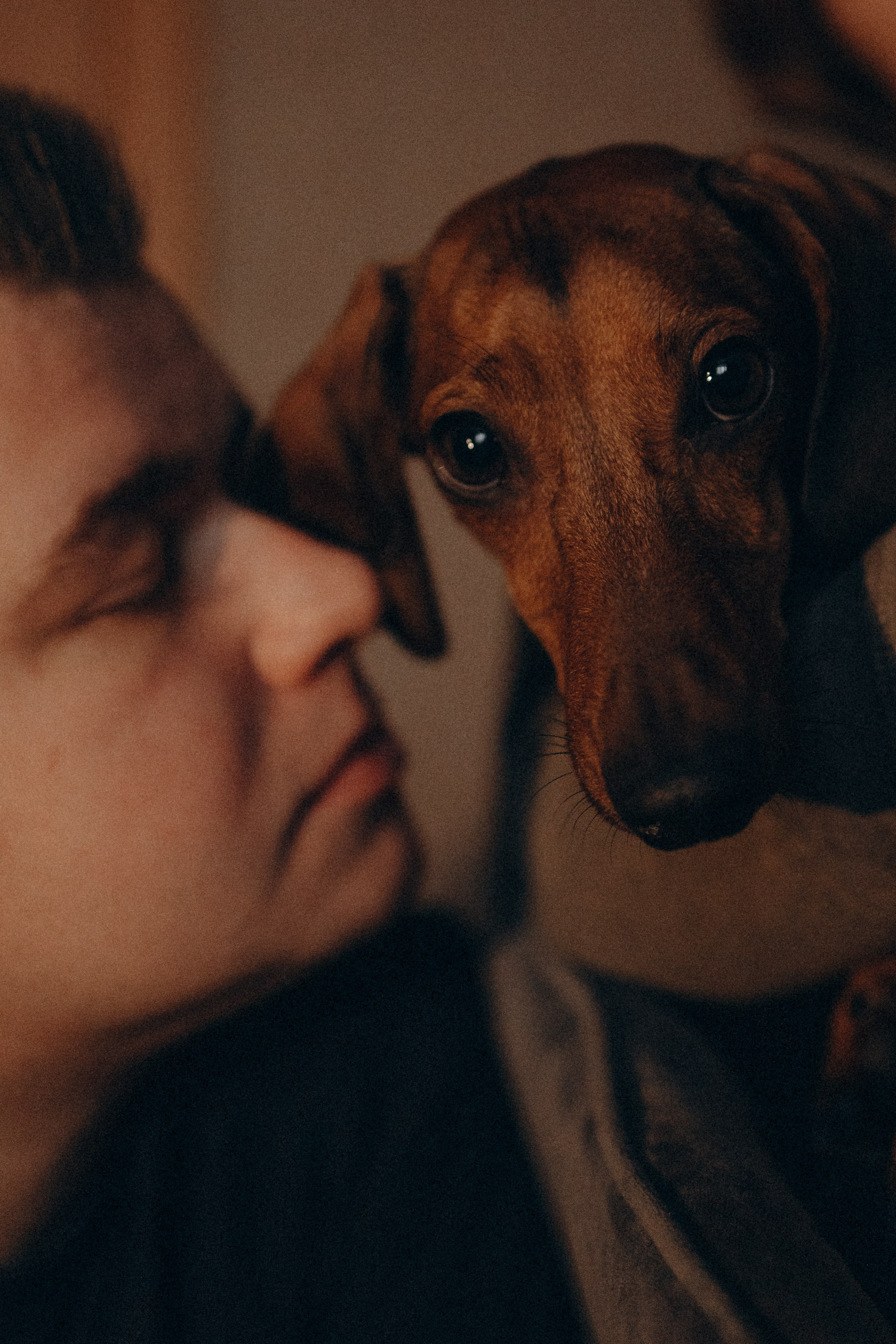 Маша и ее семья. Фотораф — анималист Мария Шистка