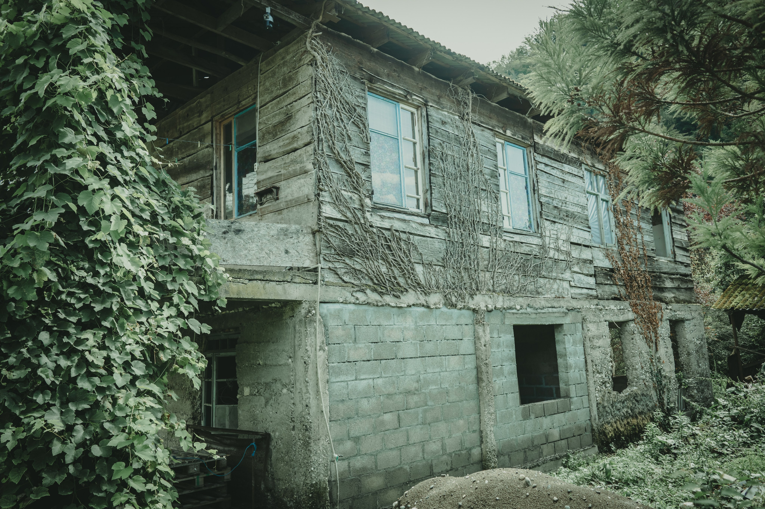 Абхазия. Женский фотограф Крещение Венчание Москва Брянск