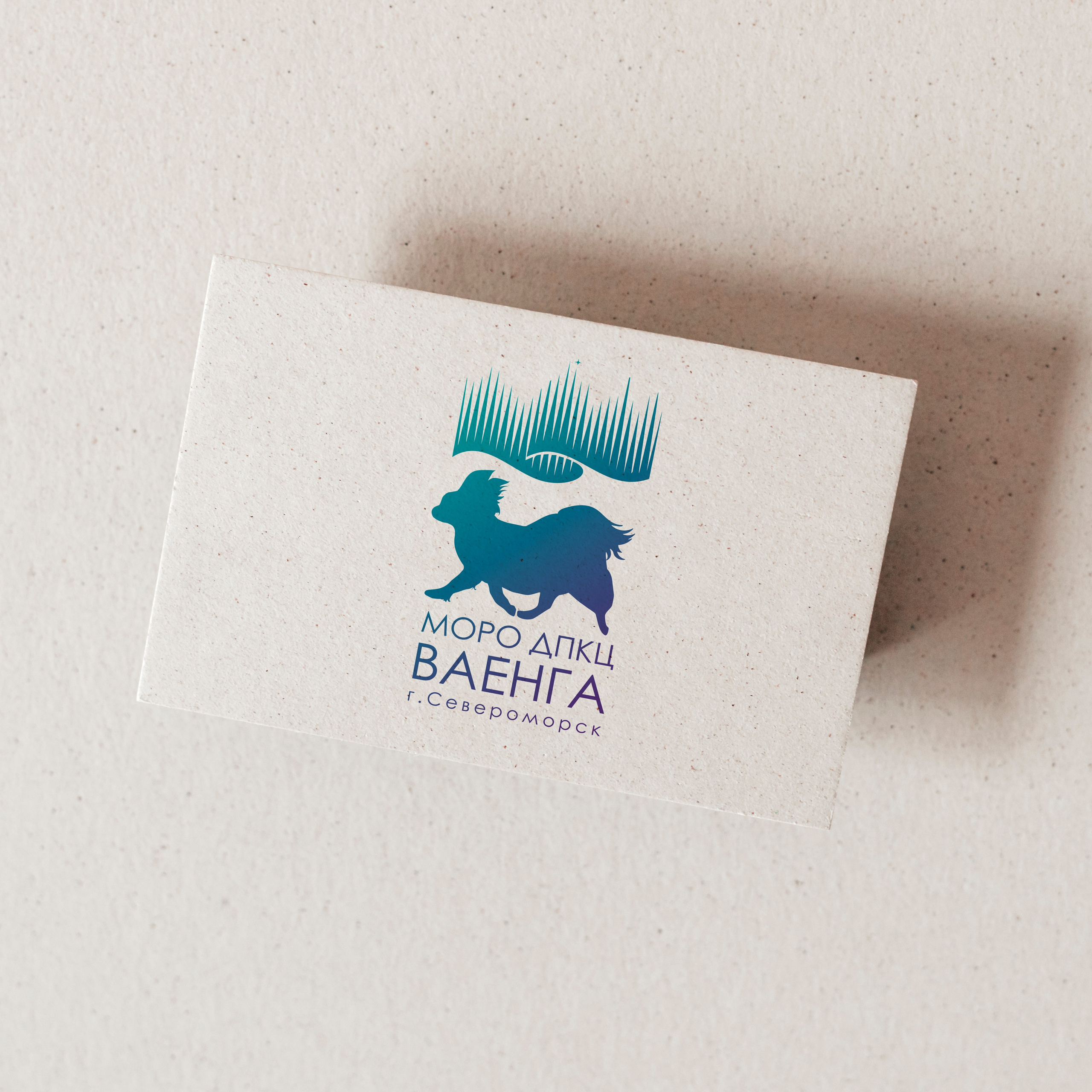 МОРО ДПКЦ ВАЕНГА, г.Североморск