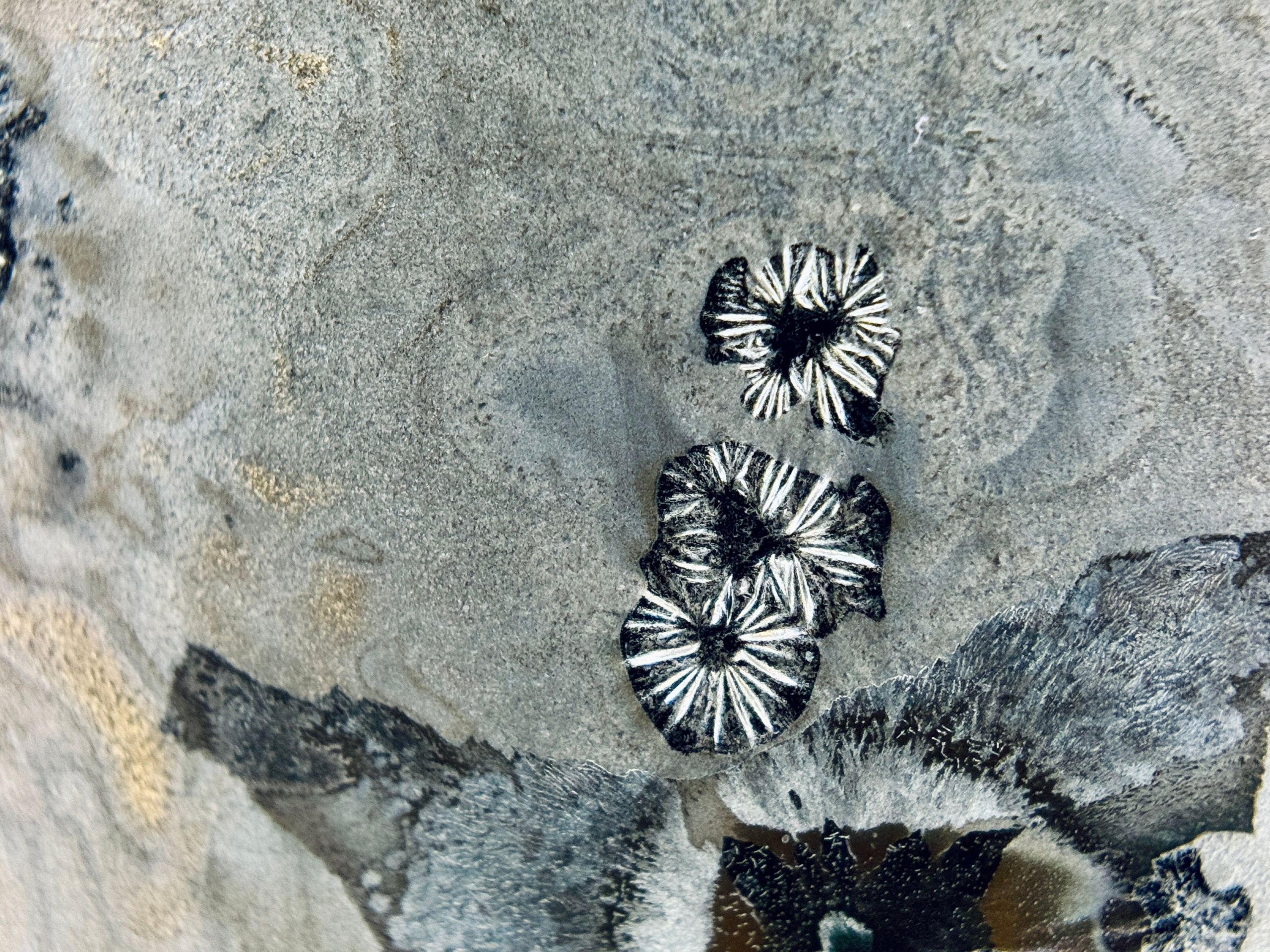 Curriculum Vitae. Артур Бахтин