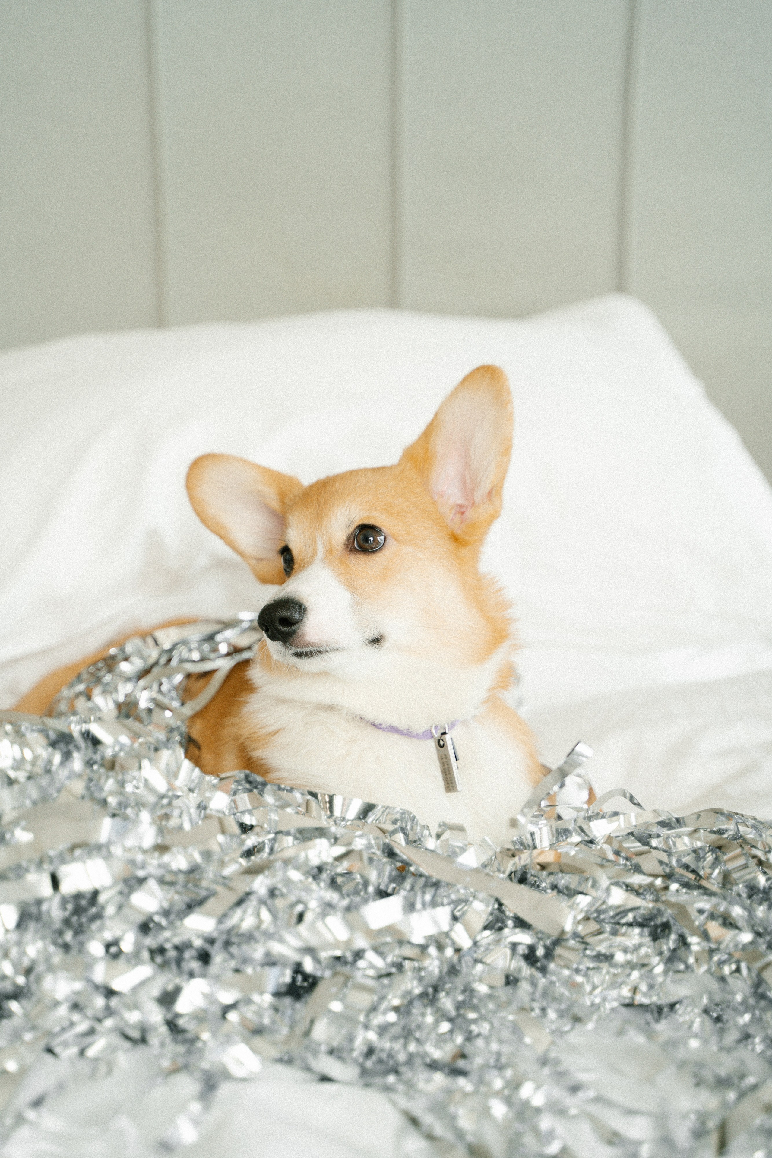 Вегас. Главная