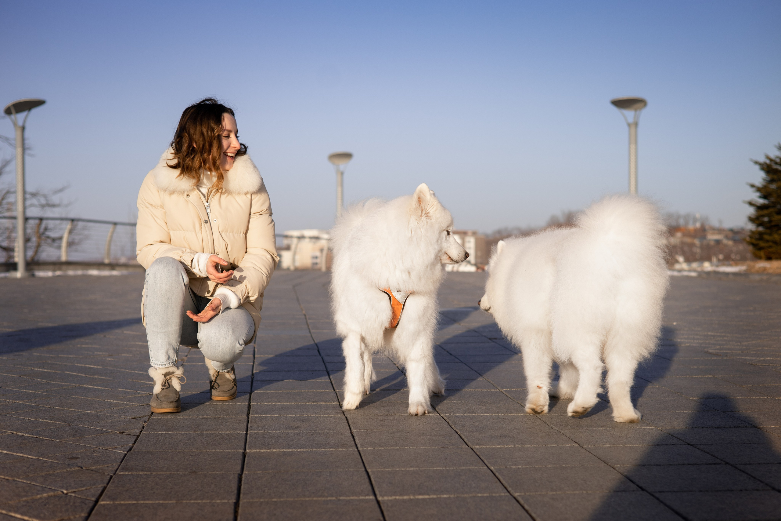 Полина и Вирчик. Фотограф — анималист Владивосток, Алина