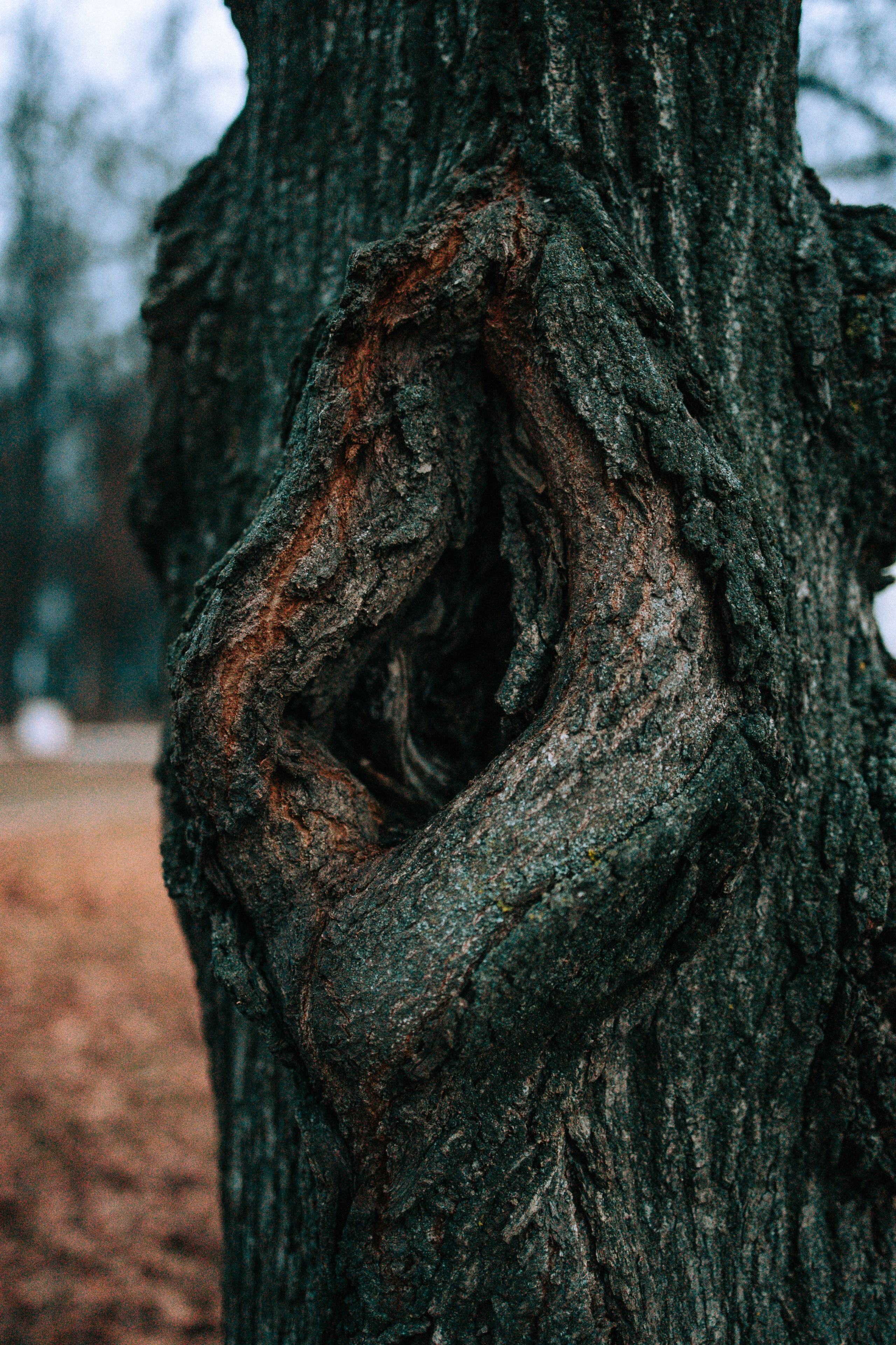 Вечерний ноябрь. Свадебный и семейный фотограф в Туле и области Маша Костина