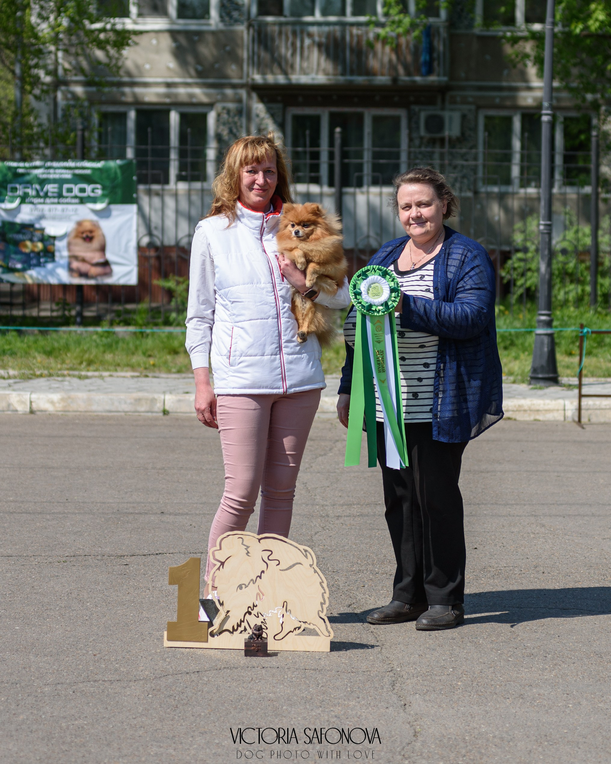 19 мая 2024 Благовещенск. Монопородная выставка шпицев. Фотограф анималист Благовещенск. Сафонова Виктория