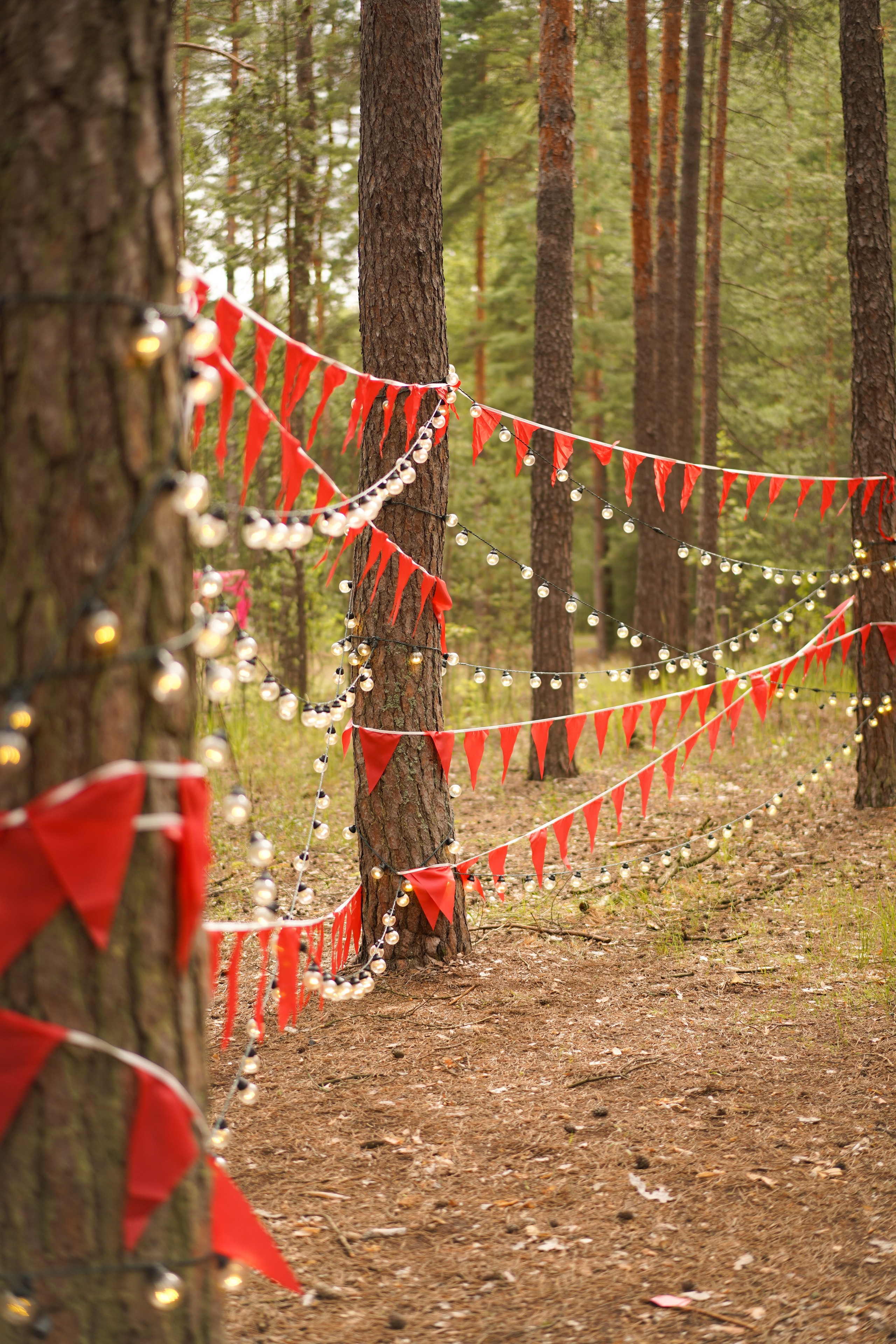 Палаточный форум CAMPot 2025. Фотограф Надежда Погребняк | Рязань | Москва
