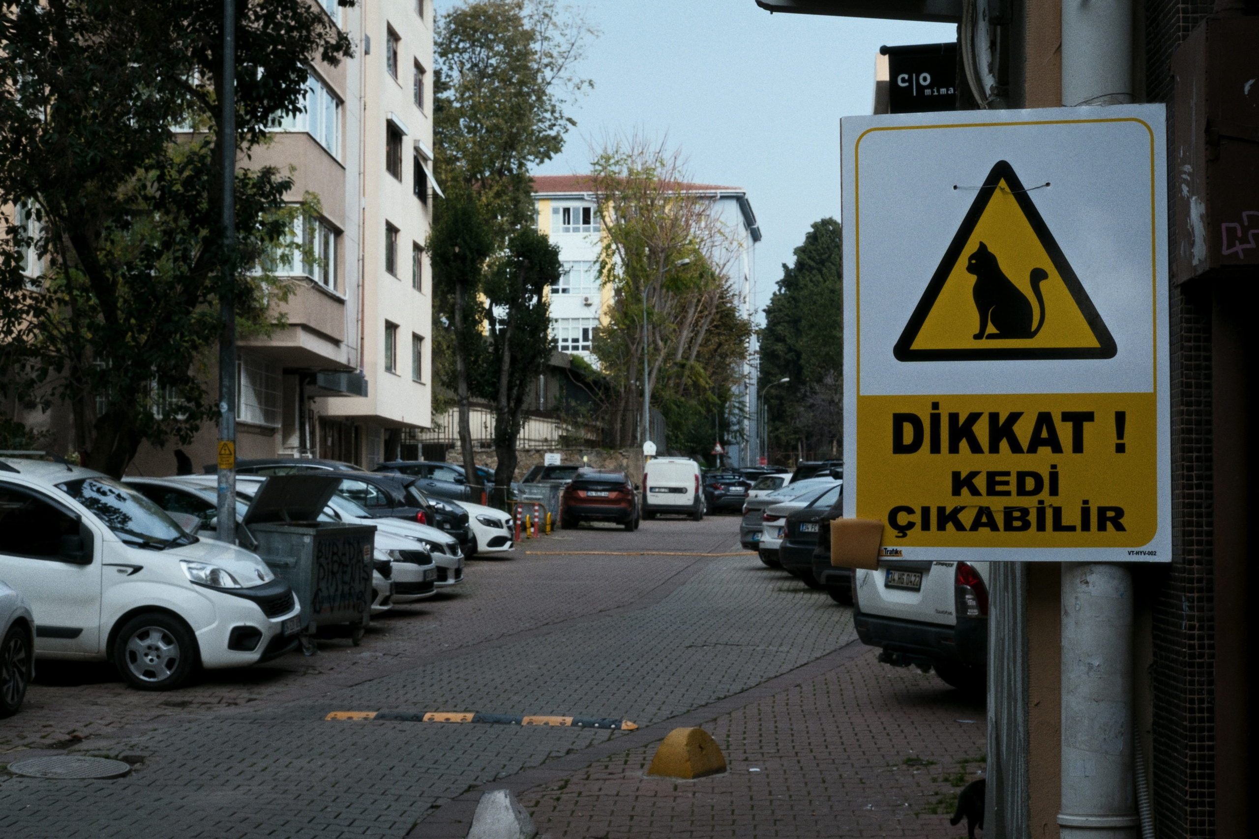 Kadikoy x Moda, Istanbul / Türkey AW25. Фотограф Юрин Евгений