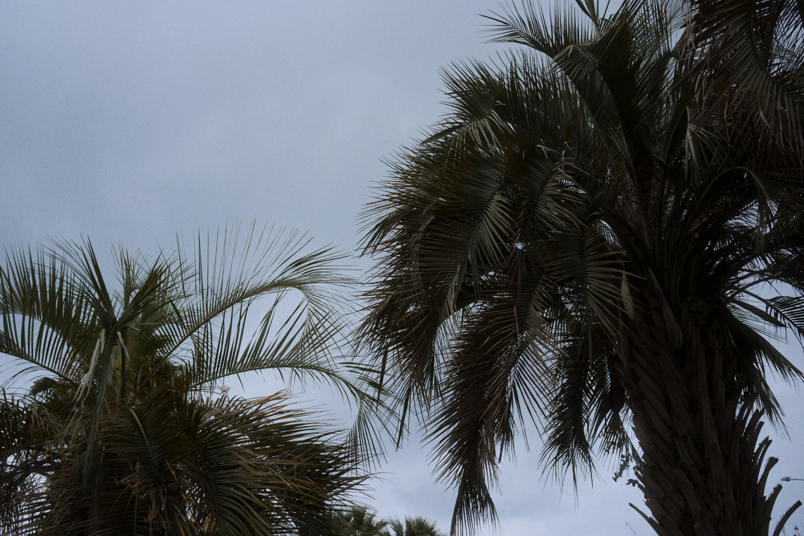 Sochi port (morskaya). Фотограф Юрин Евгений