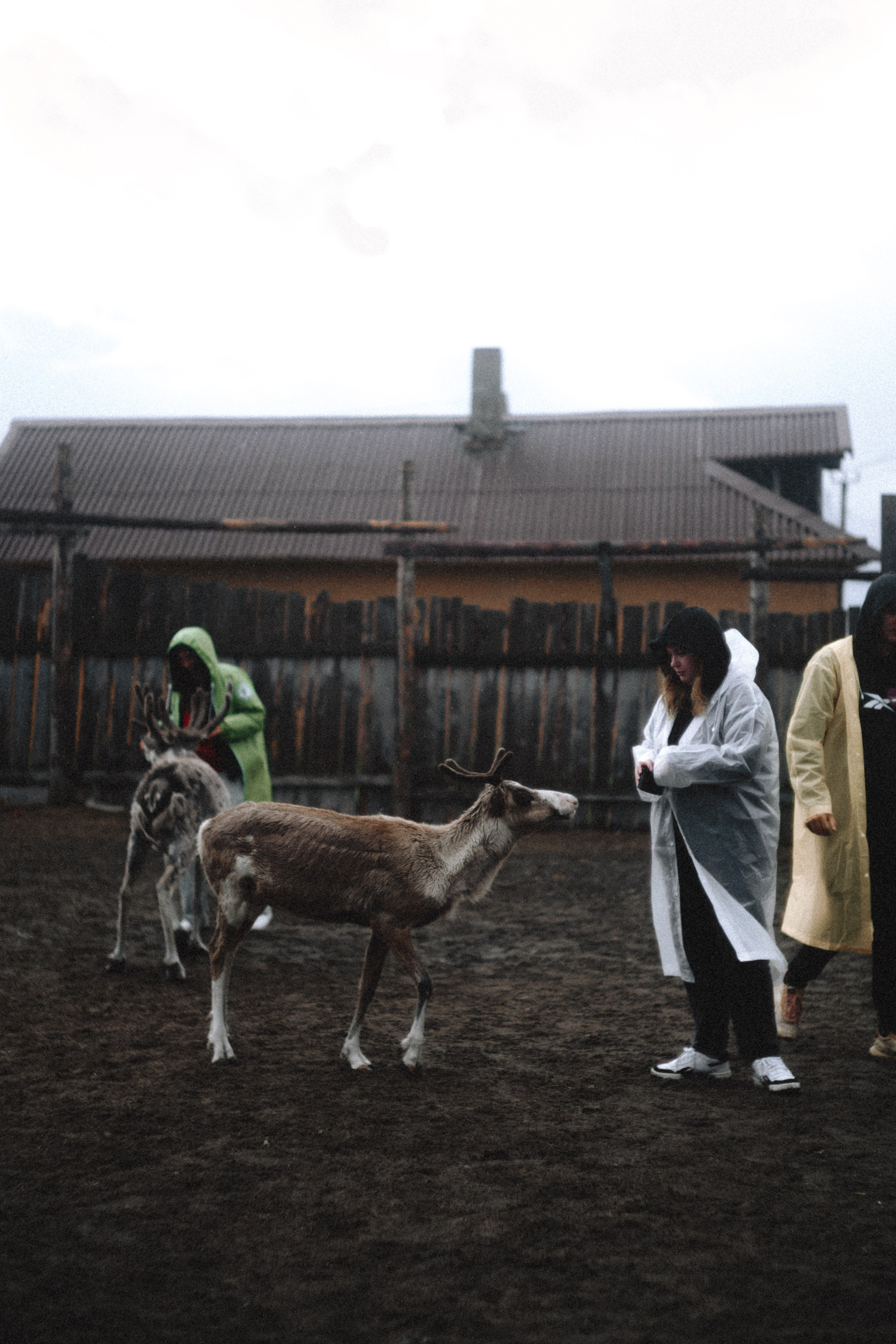 Териберка, Мурманск. Фотосъёмка для компании по организации туров в коллаборации с Яндекс 360