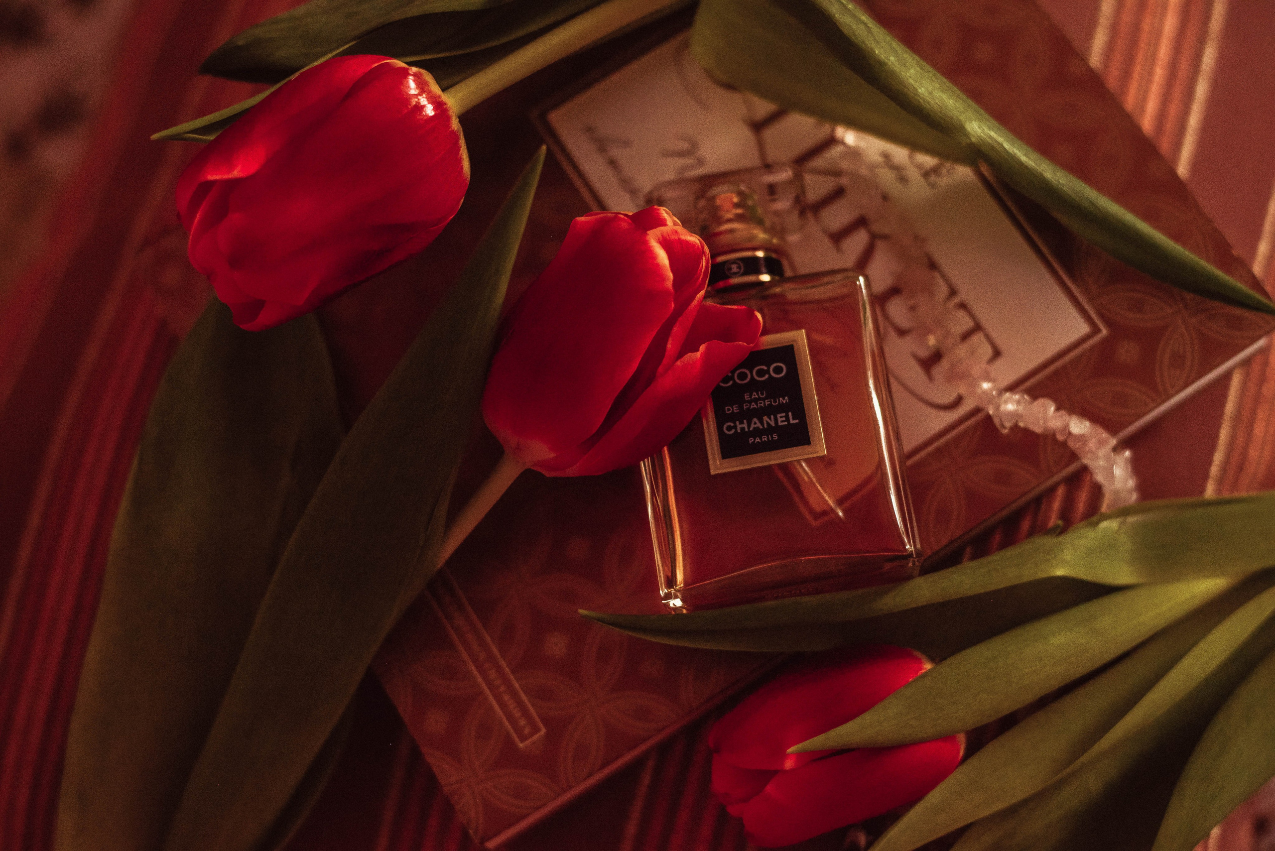 ПРЕДМЕТНАЯ/ МАКРО. Фотограф Фомина Екатерина Сергеевна