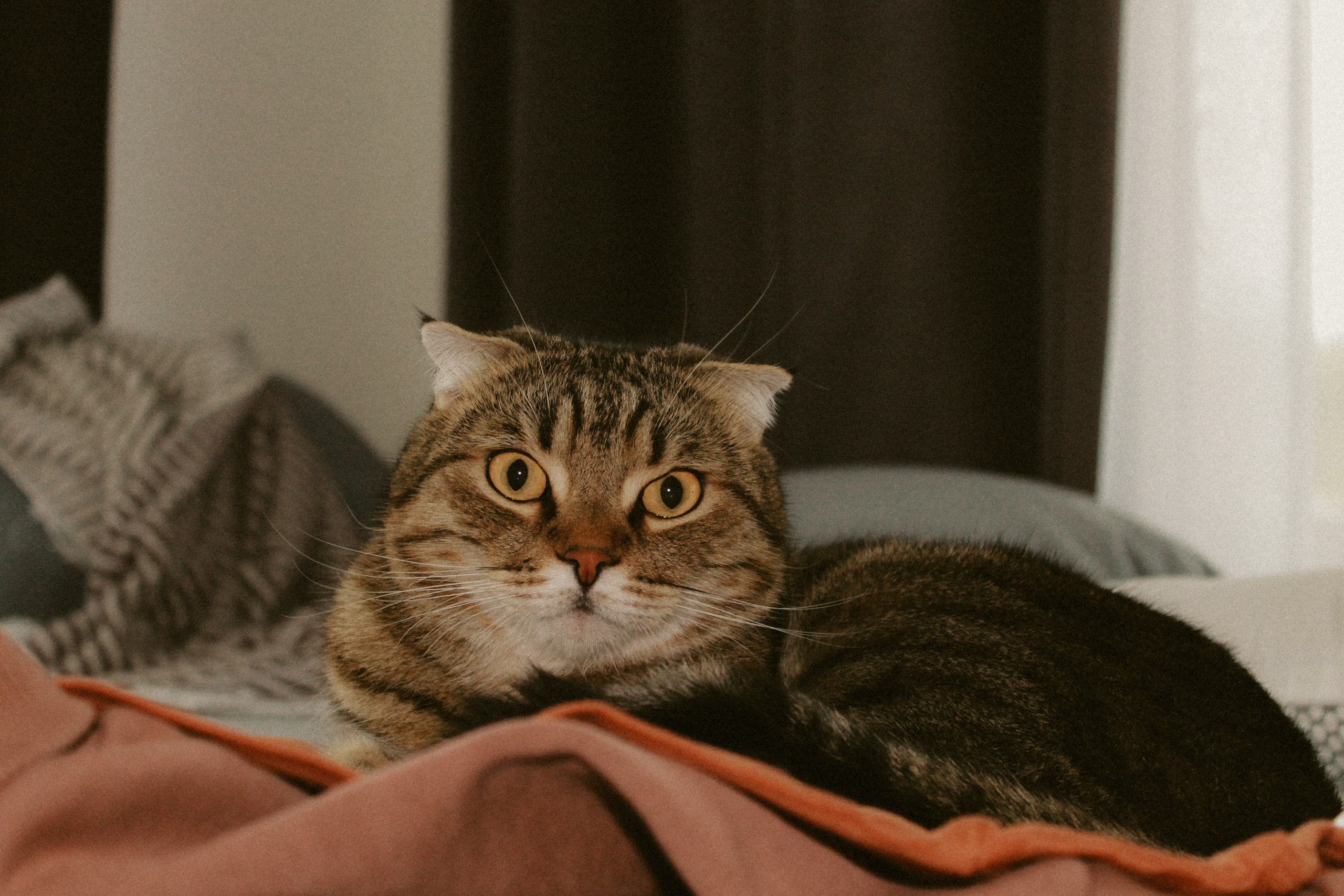 В гостях у Егора. Inga Simonova | Семейный и детский фотограф у моря