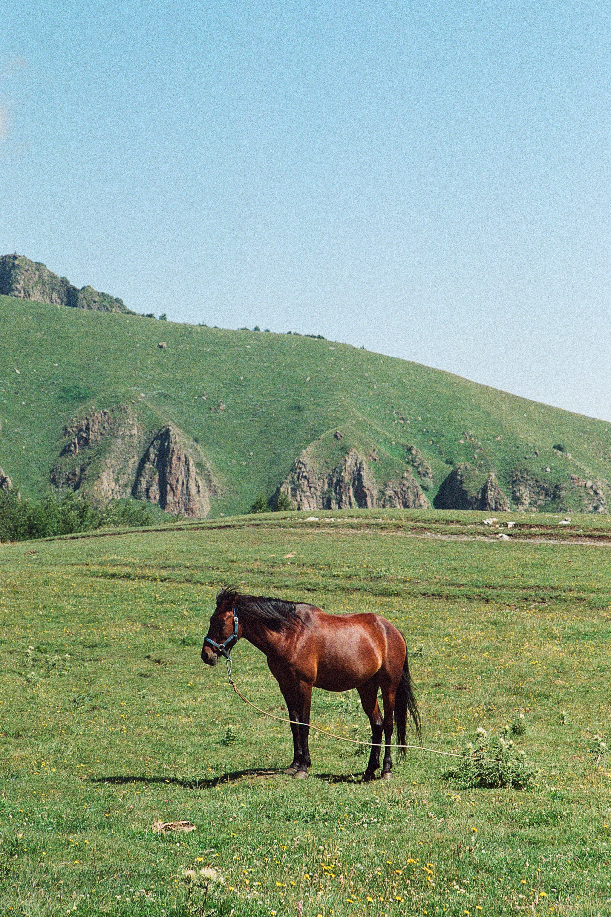 ГРУЗИЯ. ПРИРОДА.25. Профессиональный фотограф Федотова Арина