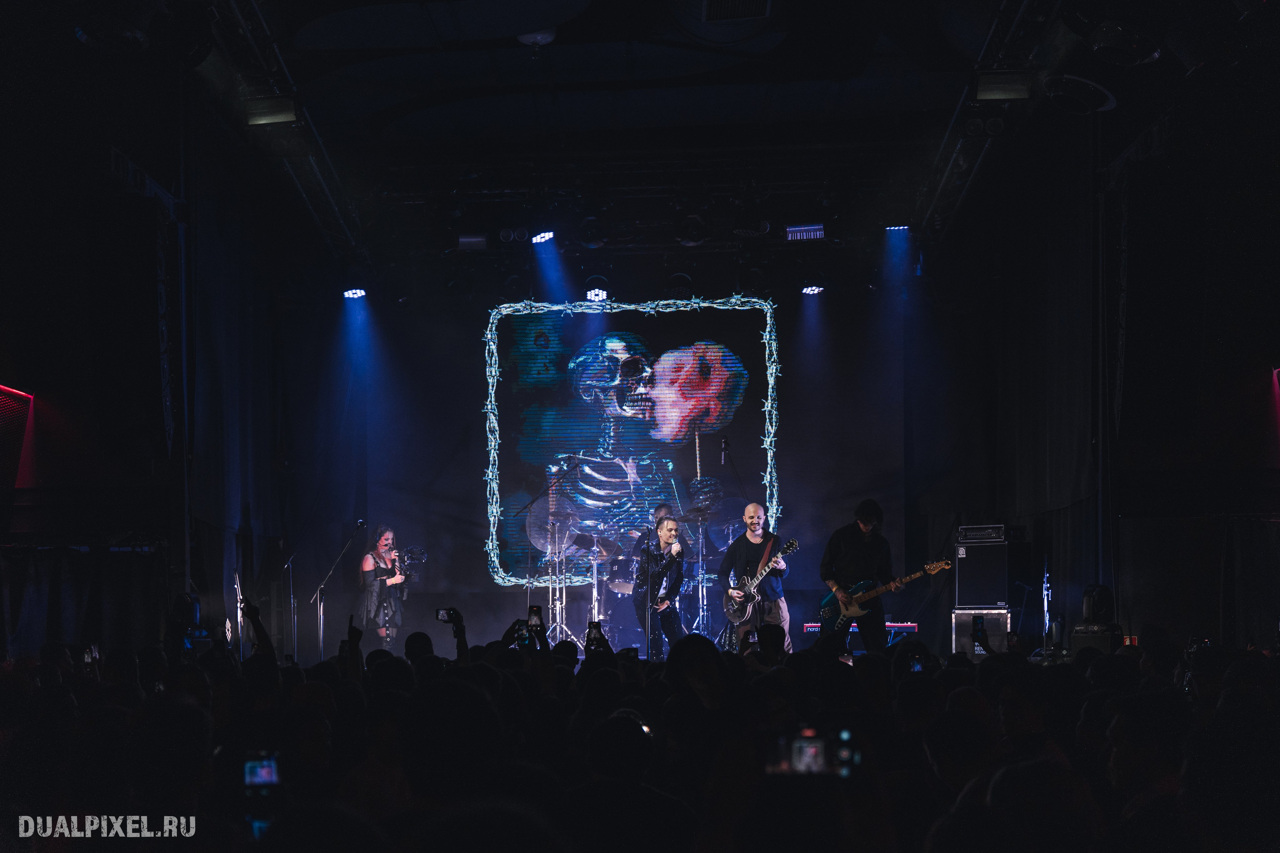 Stervell. Магия музыки в кадре: Концертная Фотография