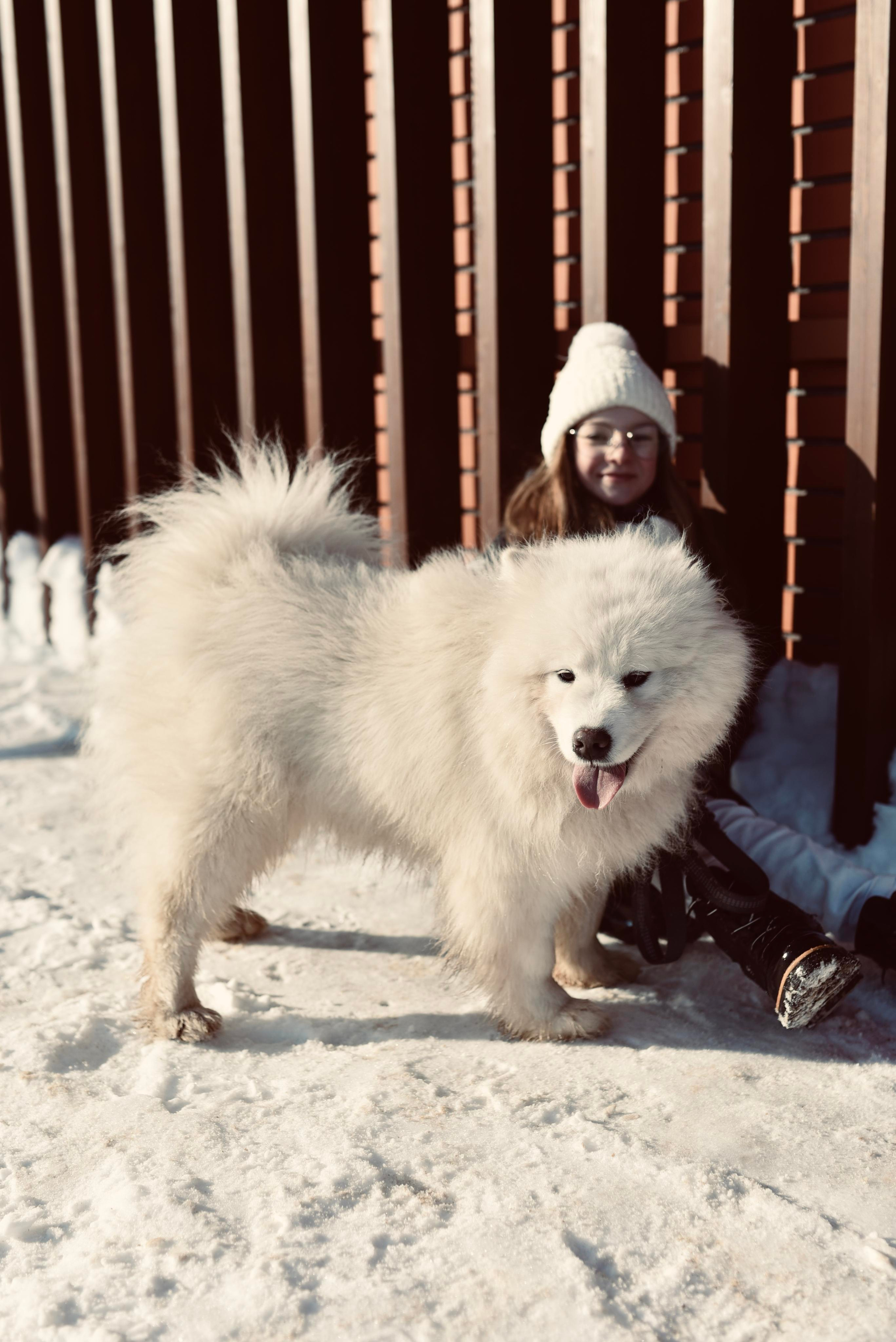 МЕЧТАЙ КРАСИВО…. Индивидуальная фотосъёмка в Москве. Фотограф Василиса Тарасова