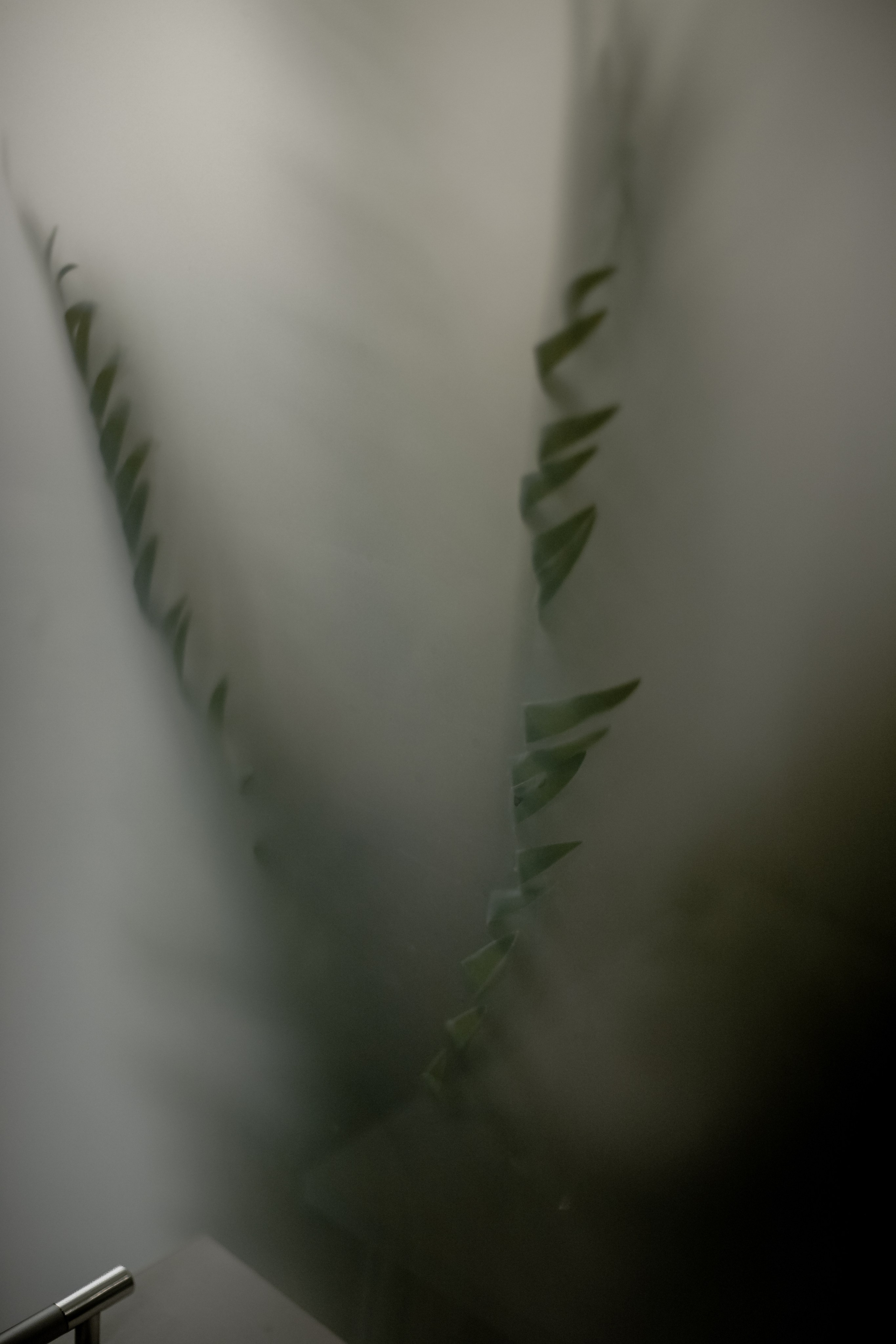 Контент Косметолог. Фотограф