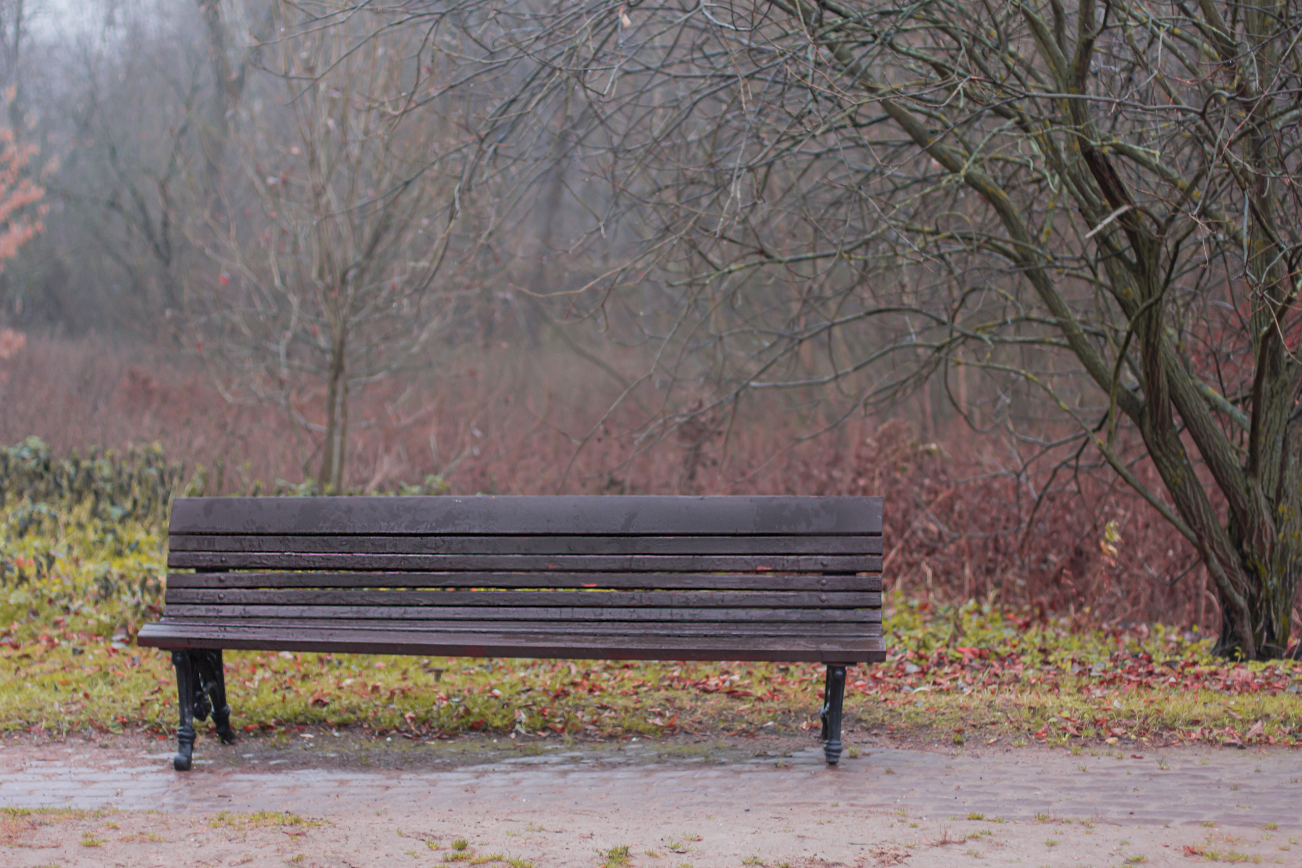 Фотокартины. Семейный фотограф Ирина Ильиных-Вольная в Москве и не только
