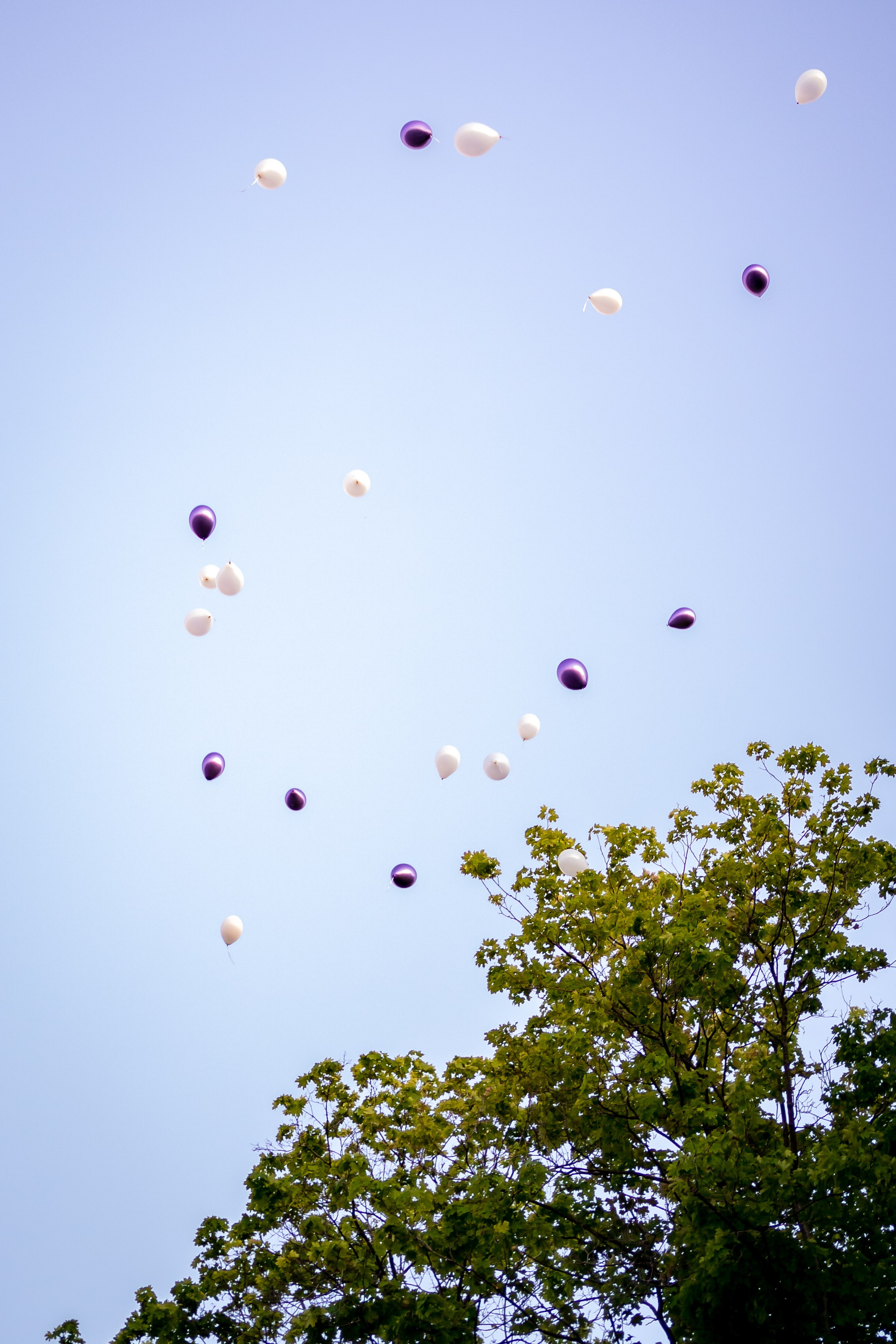День Рождения GOLDFINCH. Семейный фотограф Варвара Сорока в городе Москве