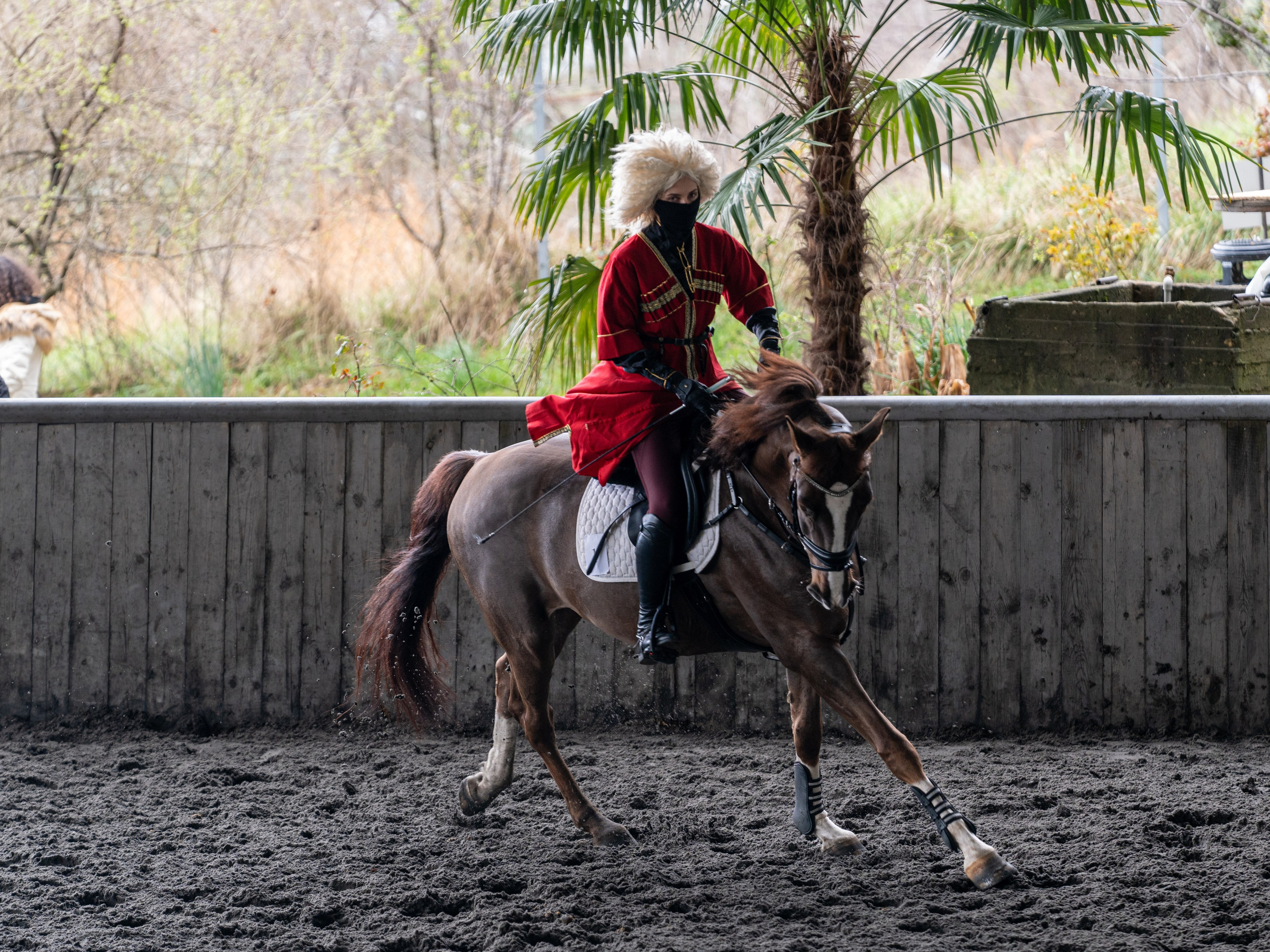MICE мероприятие на ферме Экзархо. Репортажный фотограф в Красной Поляне и Сочи Павлюченко Екатерина