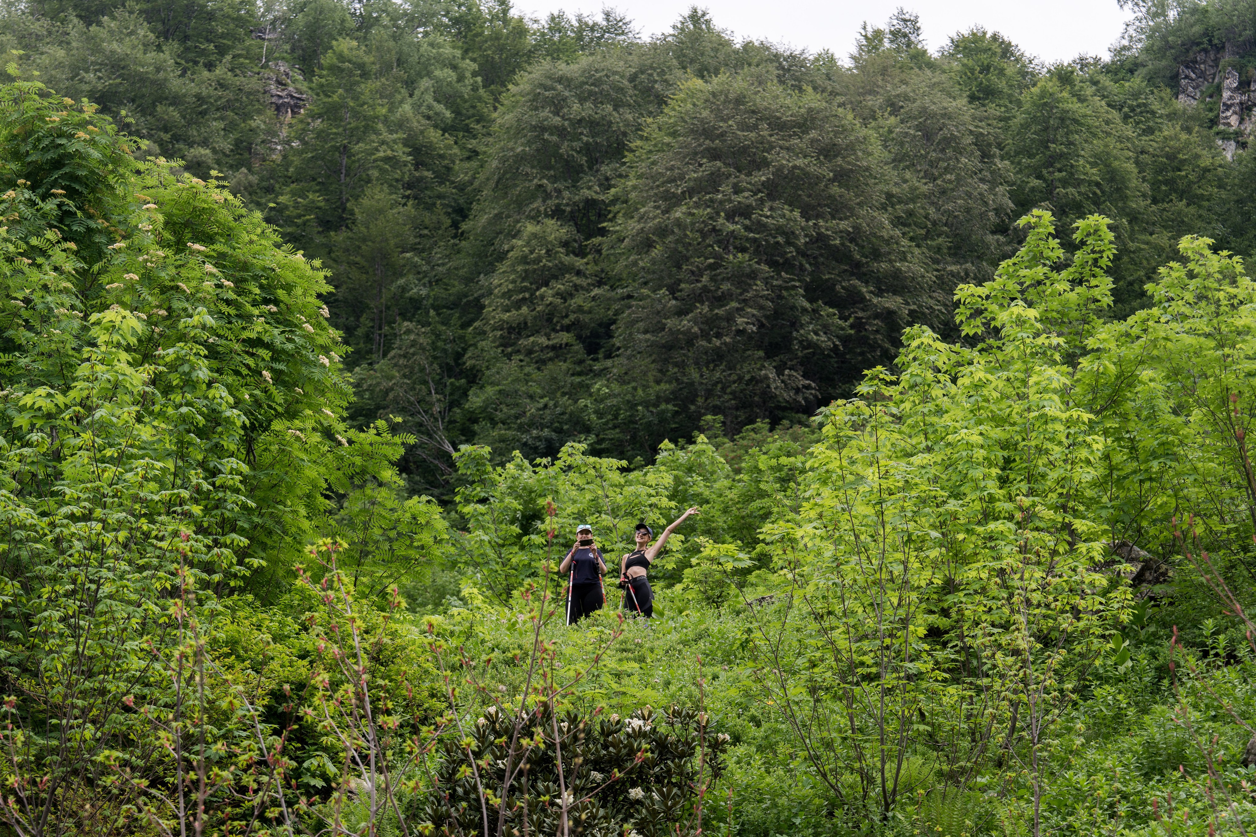 MICE мероприятие для компании «Доставка морем»: хайкинг к Ачипсинским водопадам. Репортажный фотограф в Красной Поляне и Сочи Павлюченко Екатерина
