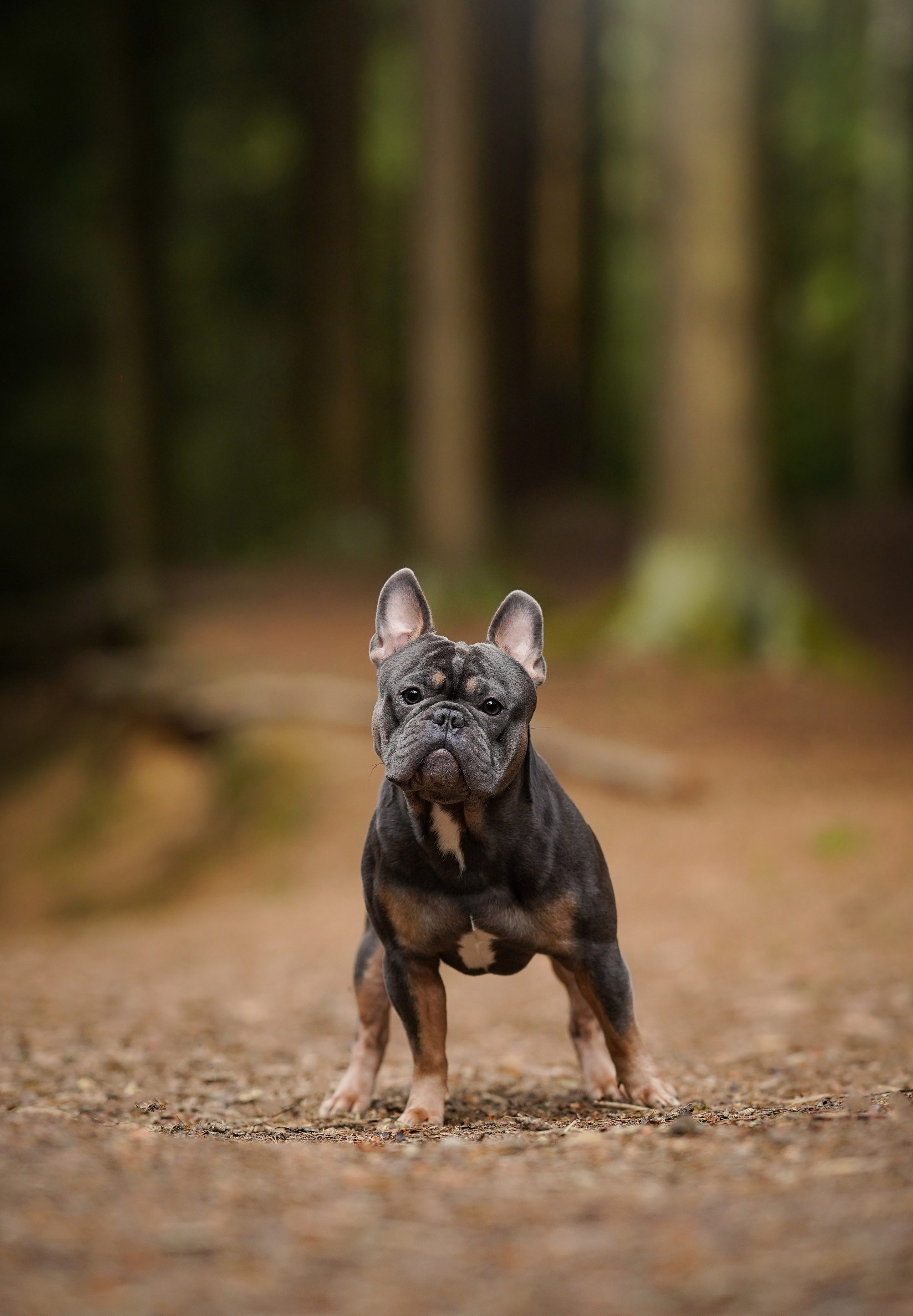 Юлия Петя и Моника. Фотограф-анималист в Санкт-Петербурге Яна Мартынова