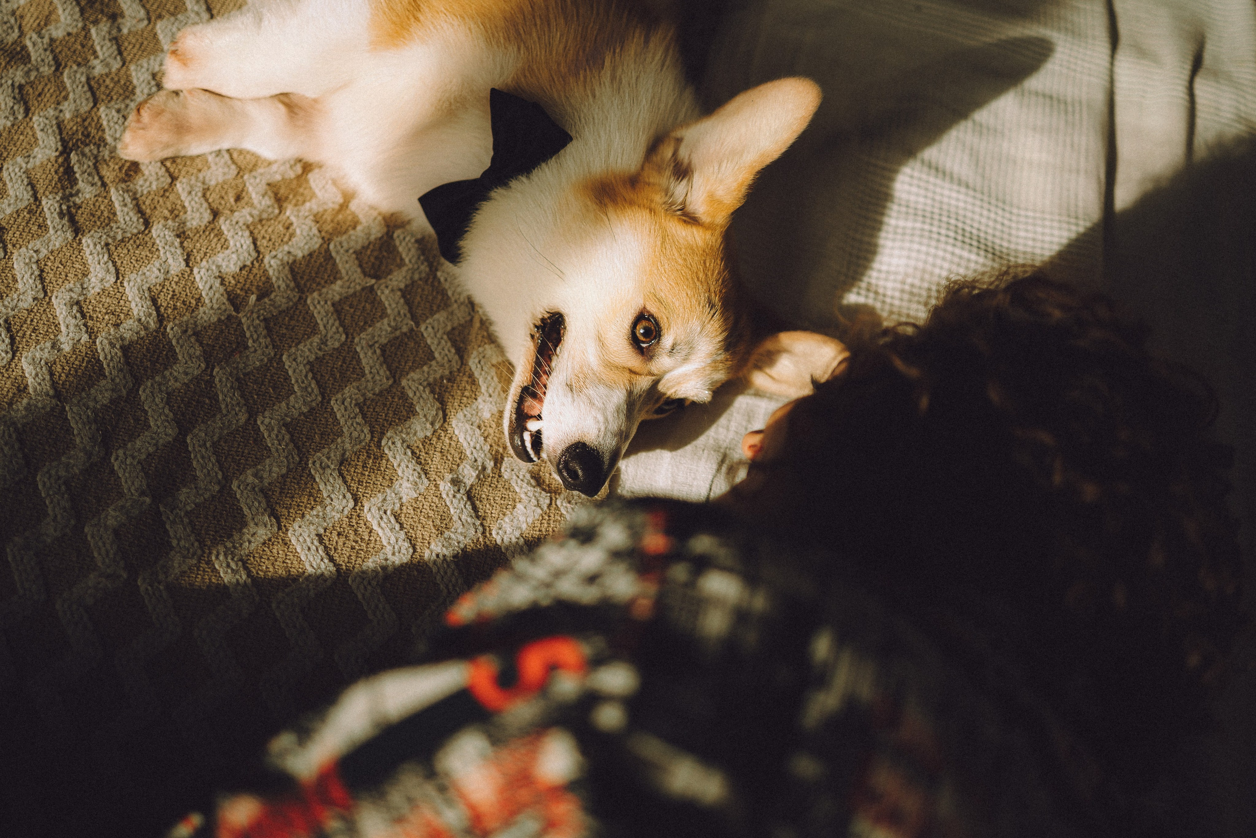 Наталья, Евгений и Мерлин